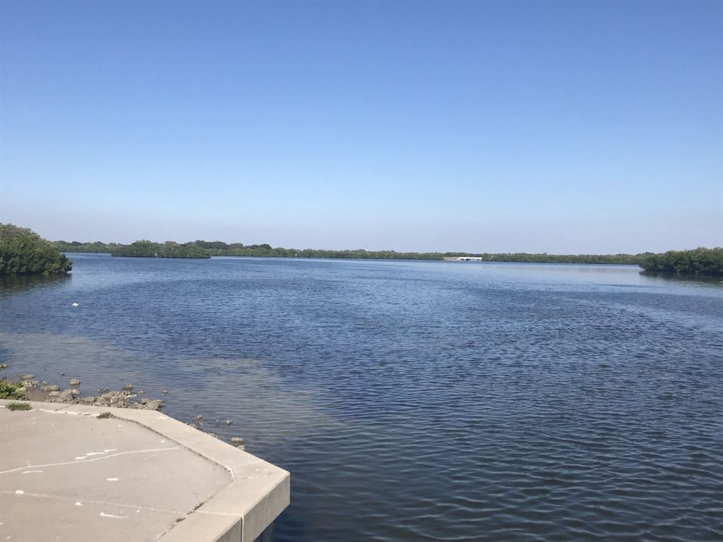 Wide calm water with distant green treeline under a clear blue sky. - Fort De Soto Recreational Trail