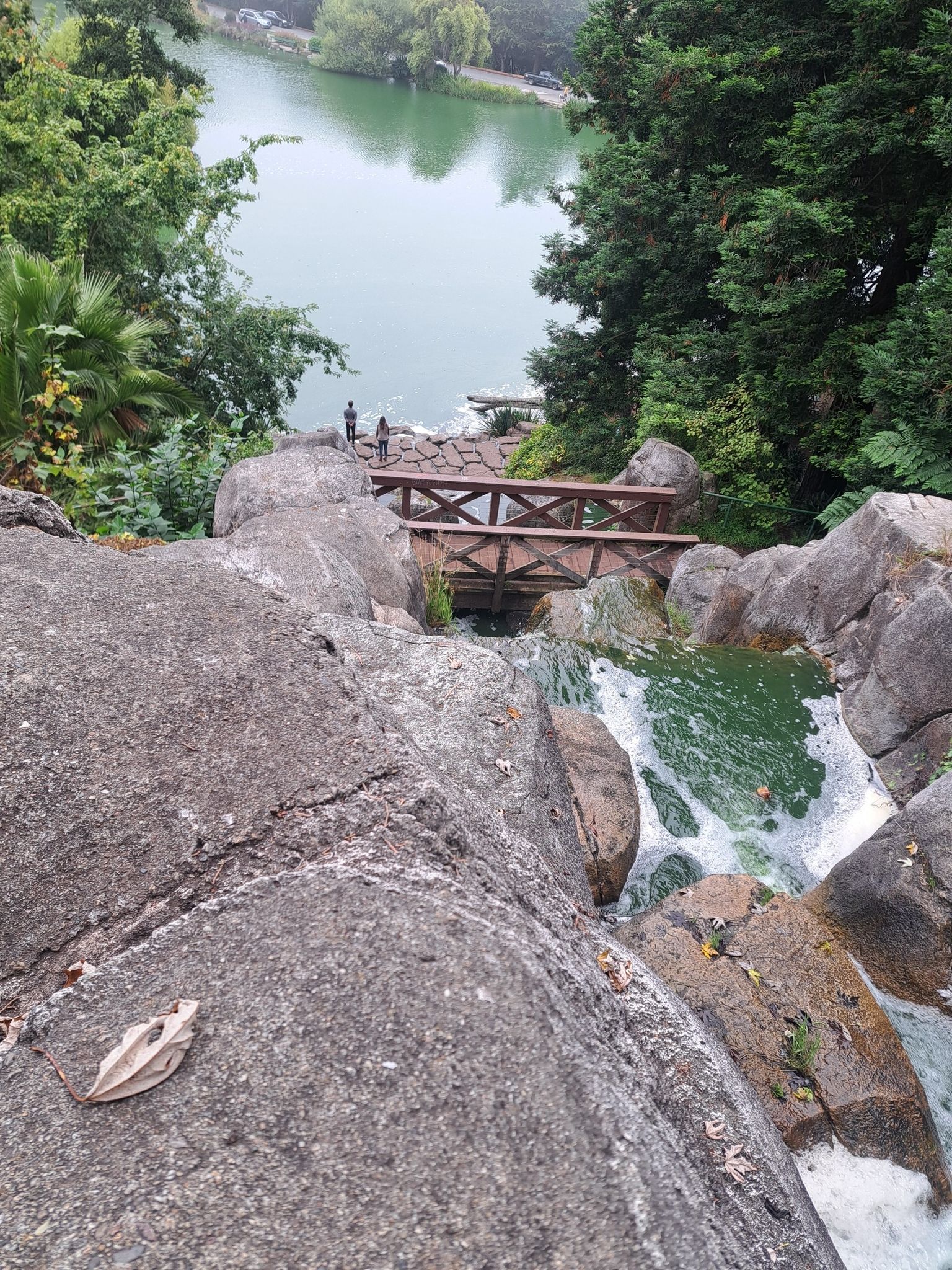 Waterfall flowing under a wooden bridge, two people stand by the lake. - Hippie Hill, Conservatory of Flowers, and Blue Heron Lake Loop