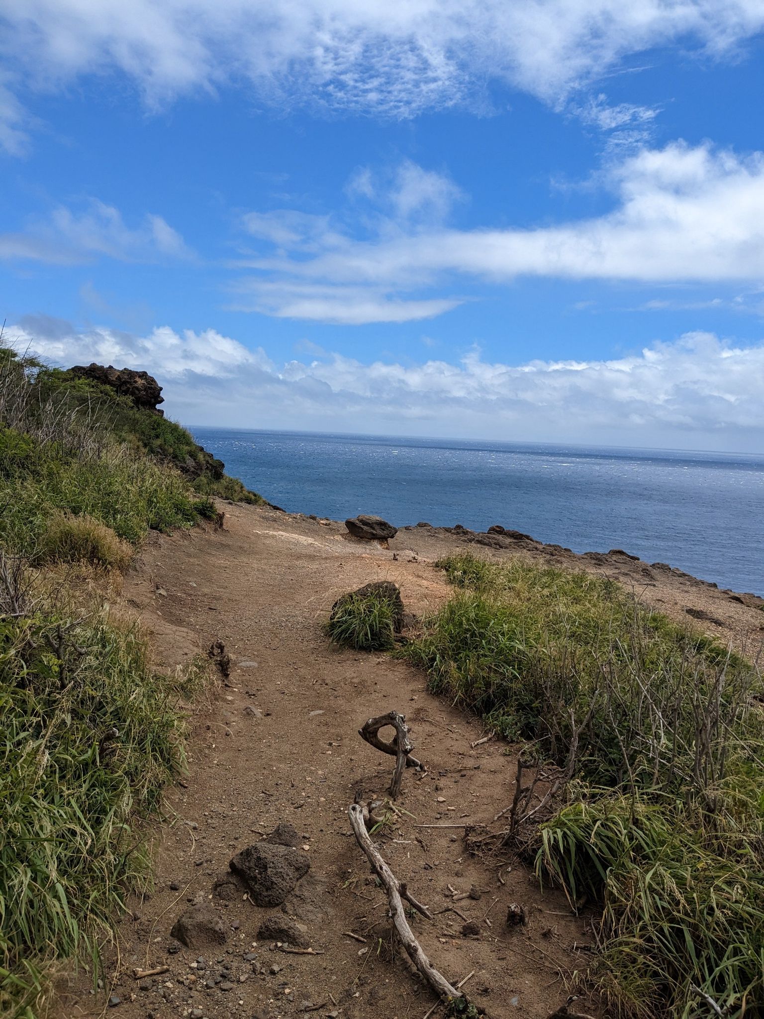 Dirt path on a grassy hillside overlooking a bright blue ocean under a cloudy sky. - Makapuʻu Point Lighthouse Trail