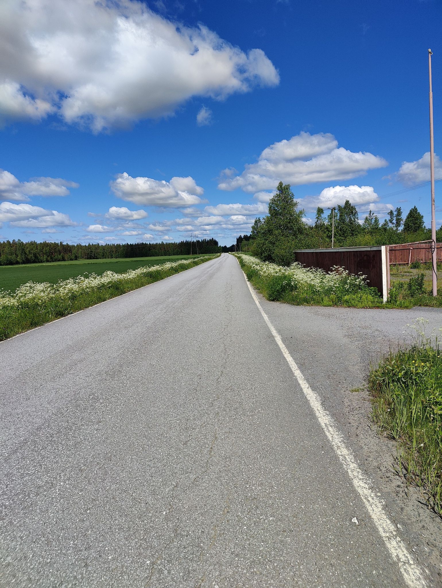 no cars for 5km 👌