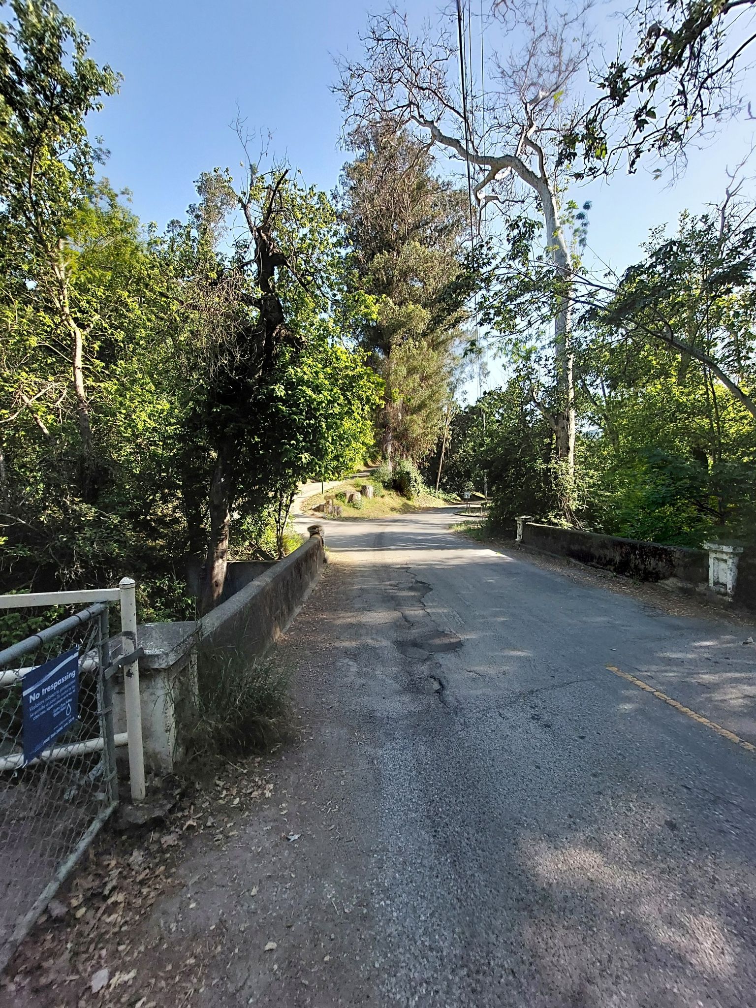 Paved road over a bridge surrounded by lush green trees under bright daylight. - Stevens Creek County Park Rim Trail