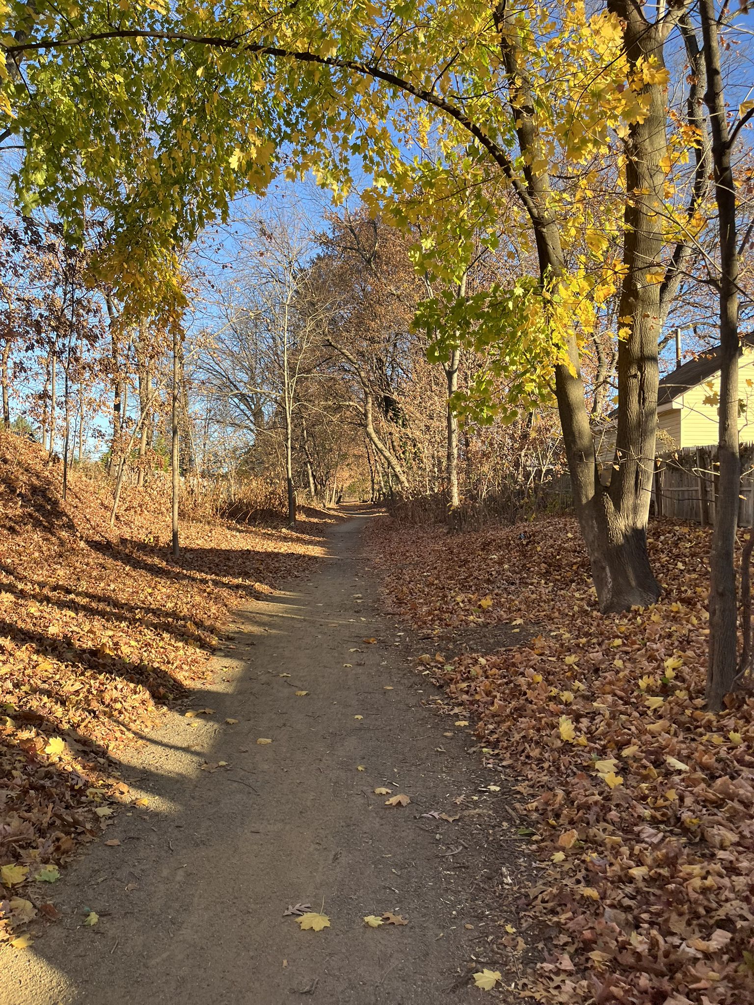 A dirt path through autumn woods with yellow and brown leaves, dappled sunlight. - Cheney Rail Trail