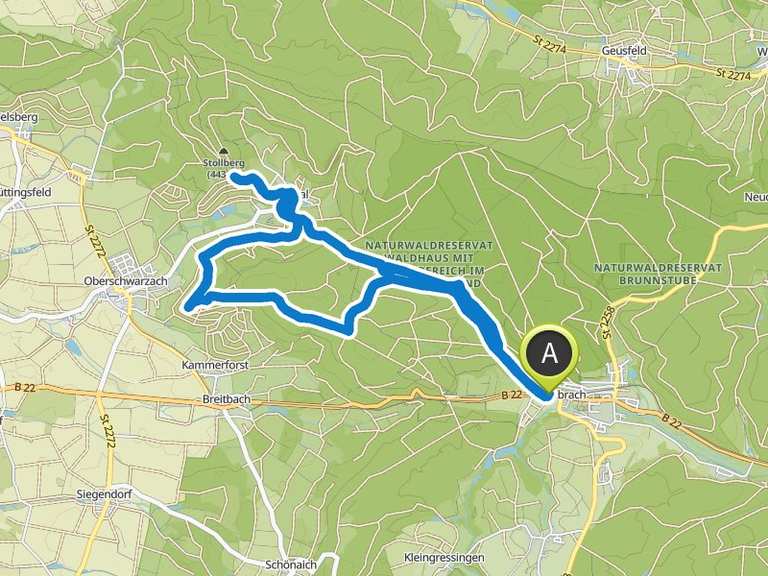 Baumwipfelpfad Steigerwald – Baumwipfelpfad Steigerwald Runde von