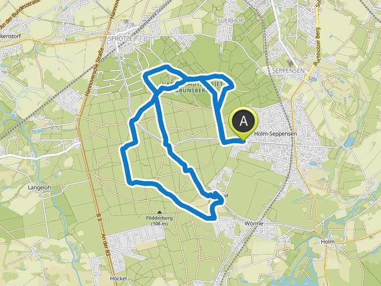 Büsenbachtal – Brunsberg Runde von Holm-Seppensen | Wanderung | Komoot