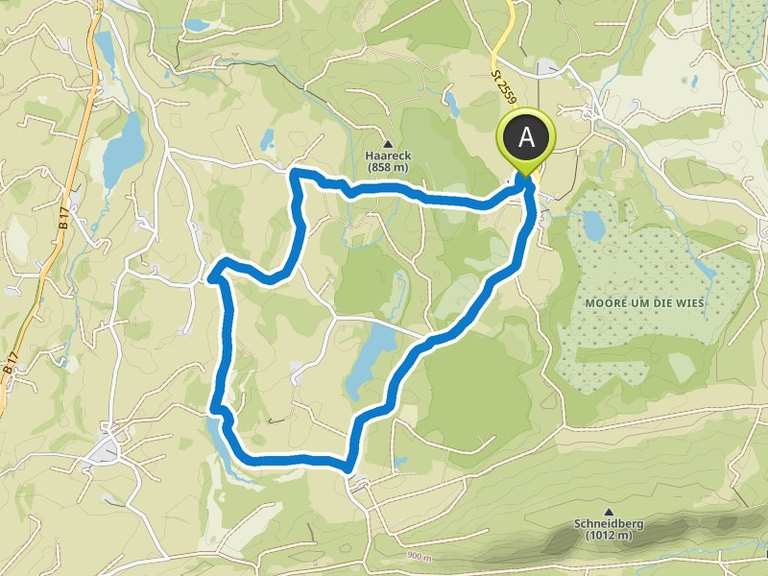 Wieskirche – Moor und Brettleweg Runde von Wies | Wanderung | Komoot