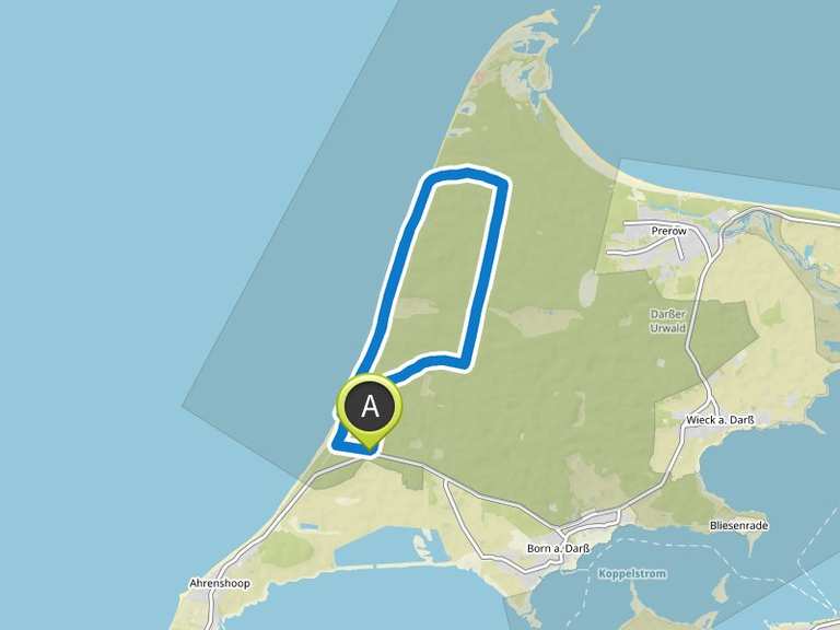 Weststrand Darß – Naturstrand Runde von Ahrenshoop | Wanderung | Komoot