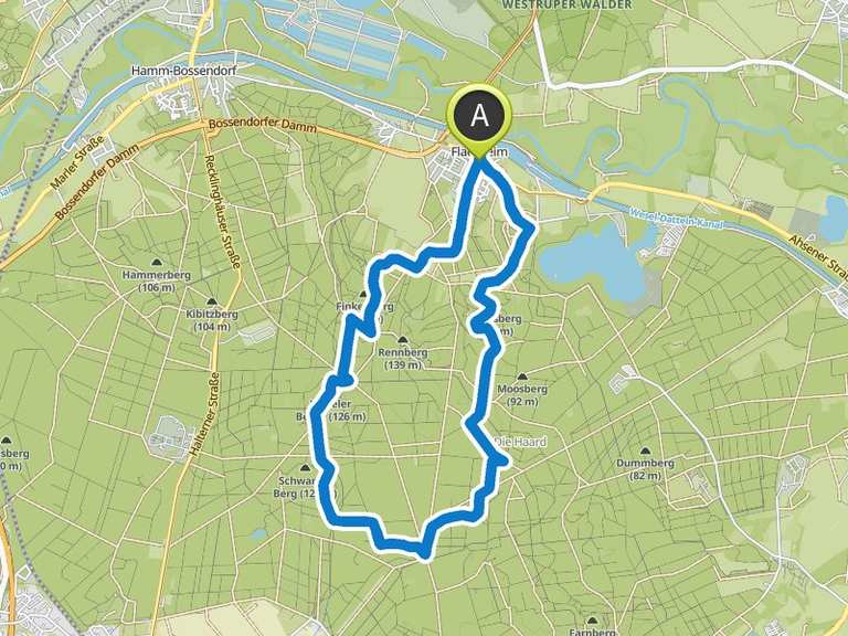 Schöner Pfad – Die Haard Runde von Flaesheim | Wanderung | Komoot