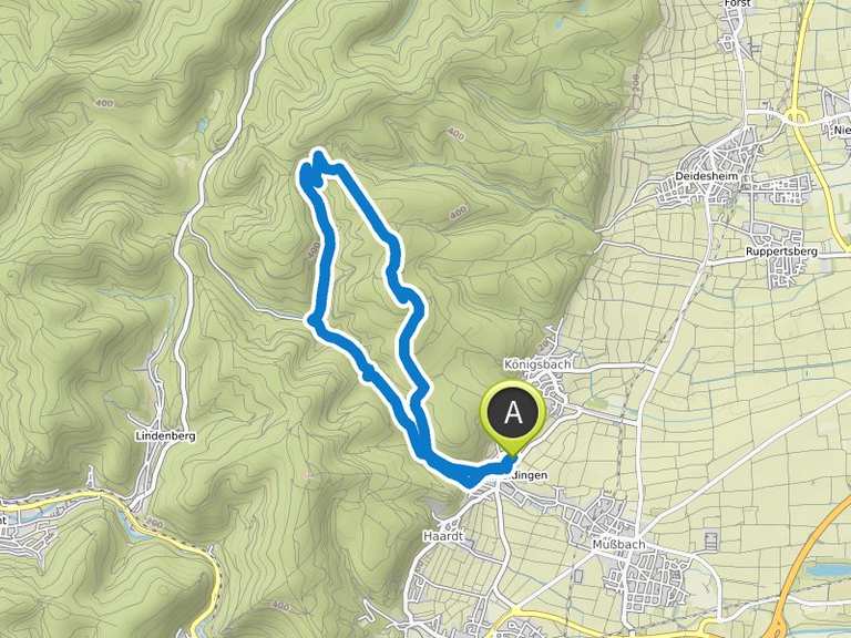 Die Stabenbergwarte Gimmeldinger Meerspinnblick Runde von