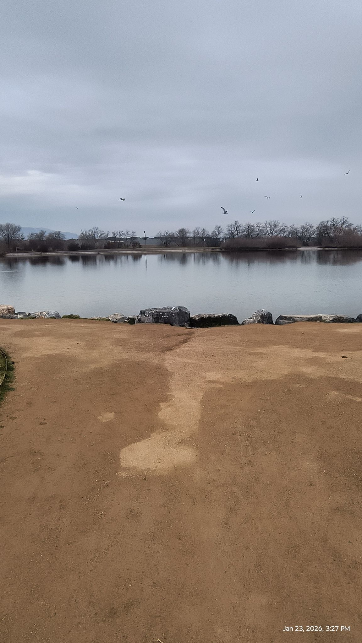 A wide dirt path leading to a calm lake under an overcast sky. - Jensen Park Trail