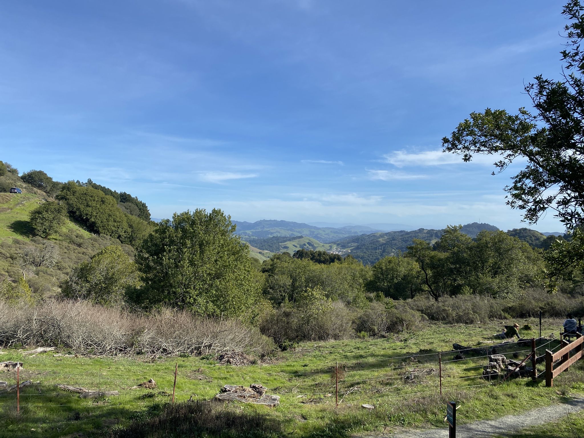 Sunny green field with scattered trees, distant hills, and a clear blue sky. - Steam train demo – Tilden Park Steam Train loop from Tilden Regional Park