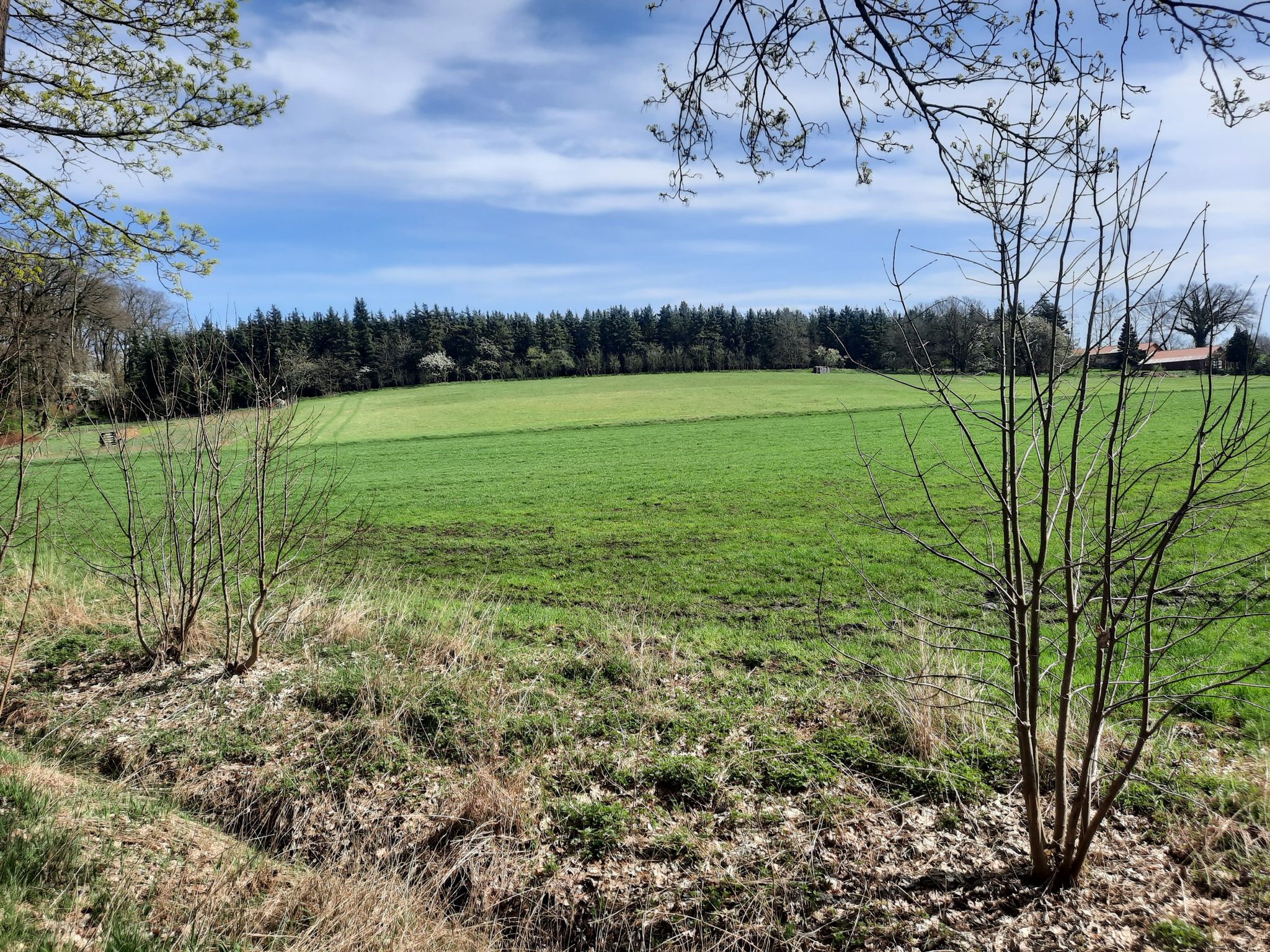 ....fast wie im Allgäu