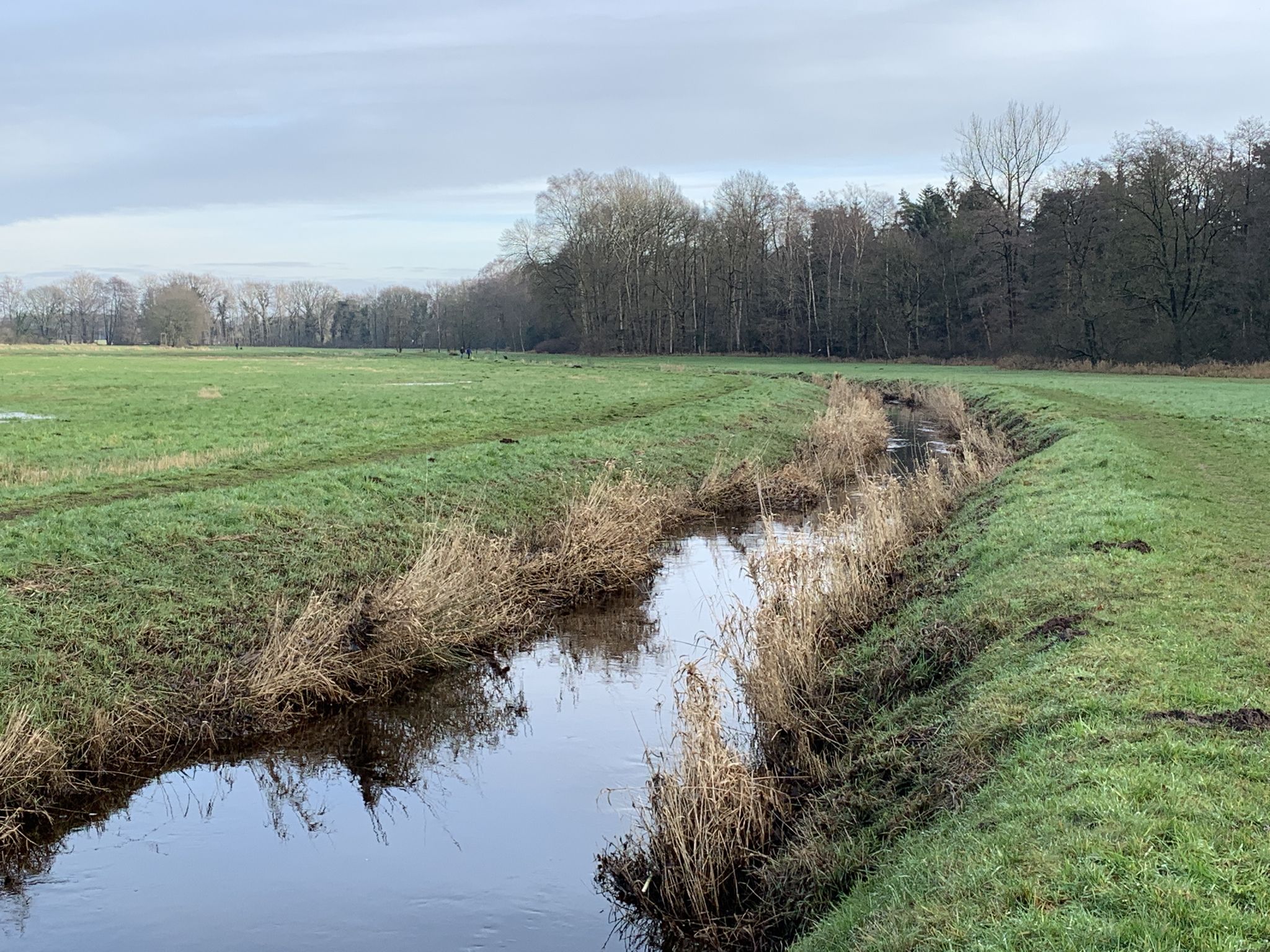 an der Haaren