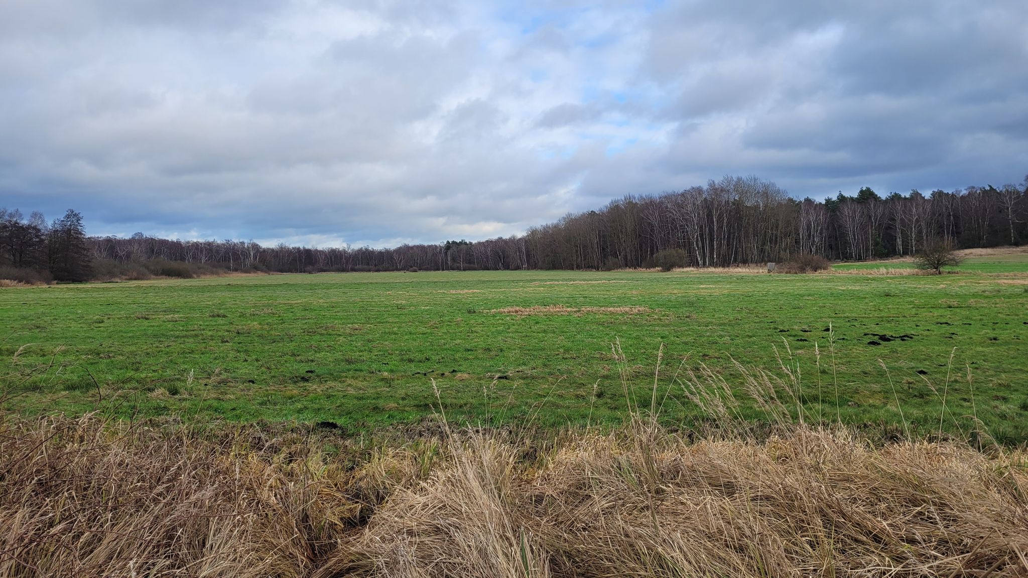 Rieseberger Moor (re. geht es zur Heideinsel)