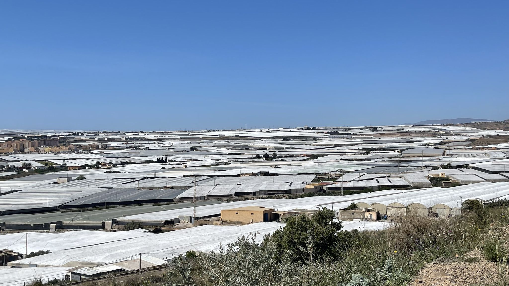 Einen kleinen Teil der extrem vielen Gewächshäuser rund um Almeria
