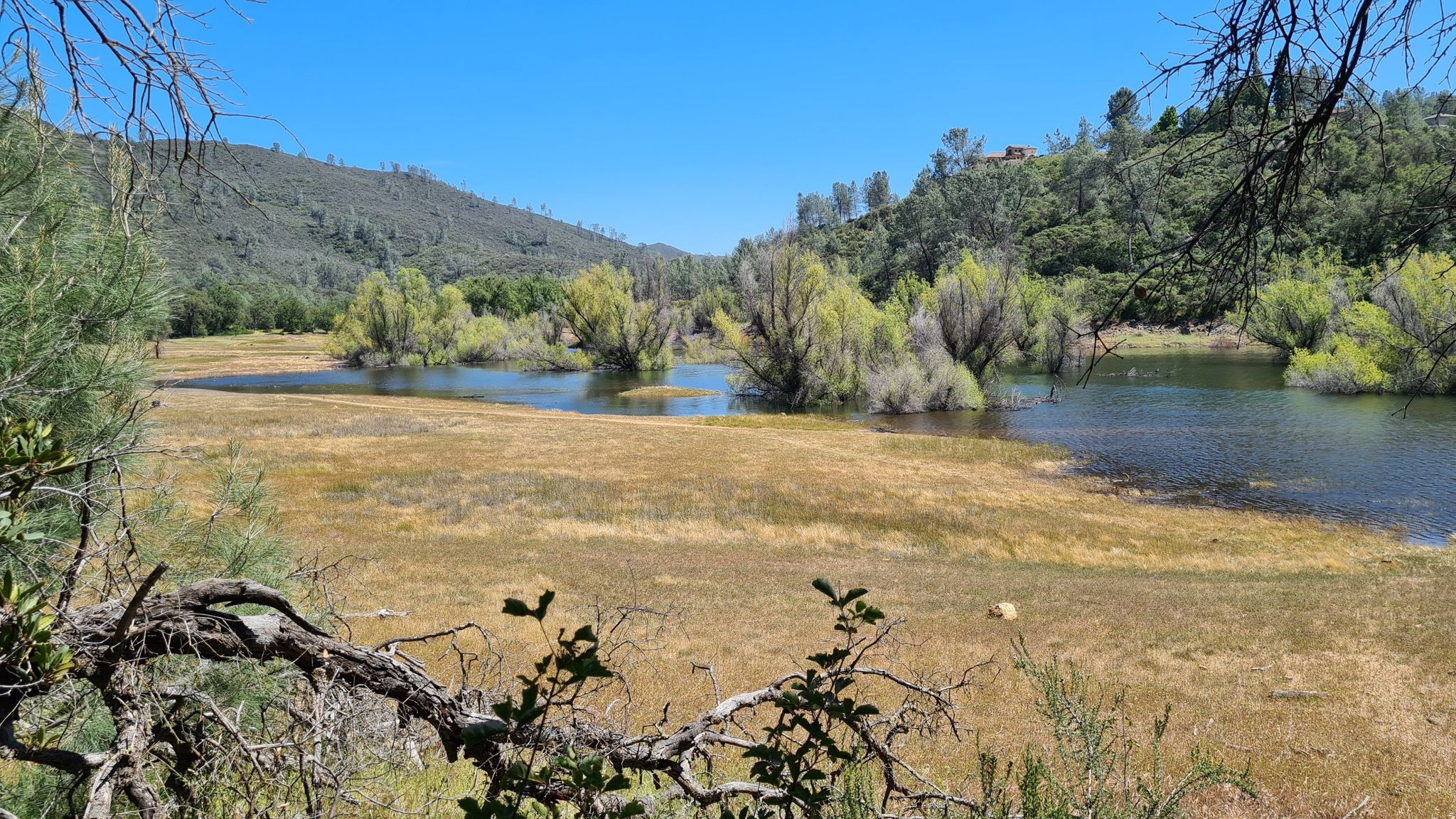 Sunny valley with a winding river, green trees, and distant hills. - Darrington and Sweetwater Trail