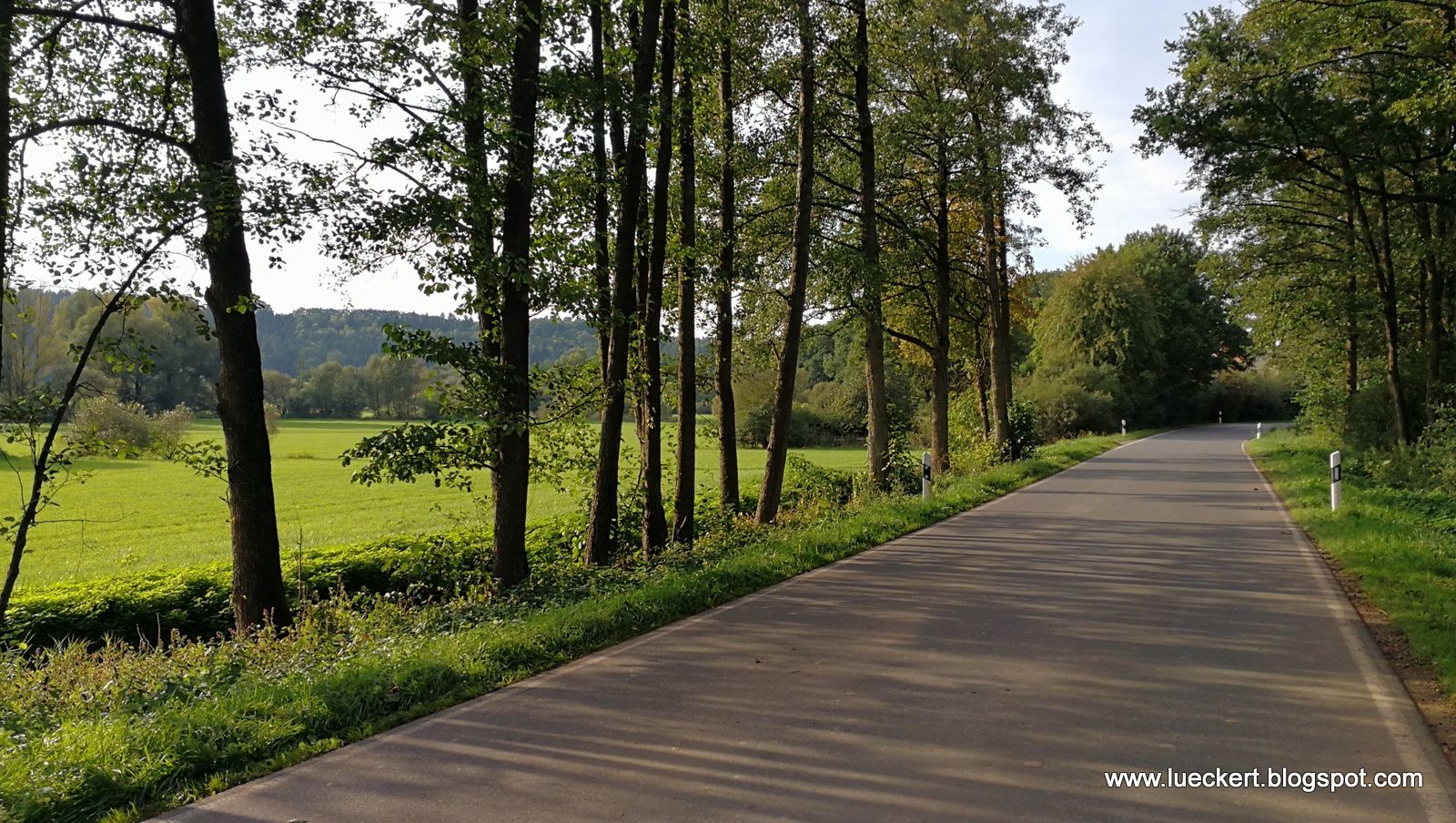 Strasse = Radweg zwischen Unterlettenrangen und Buch am Sand