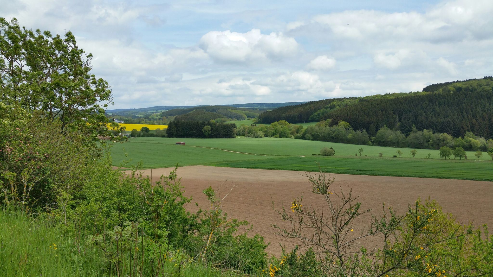 Blick ins Alfbachtal Richtung Bleialf