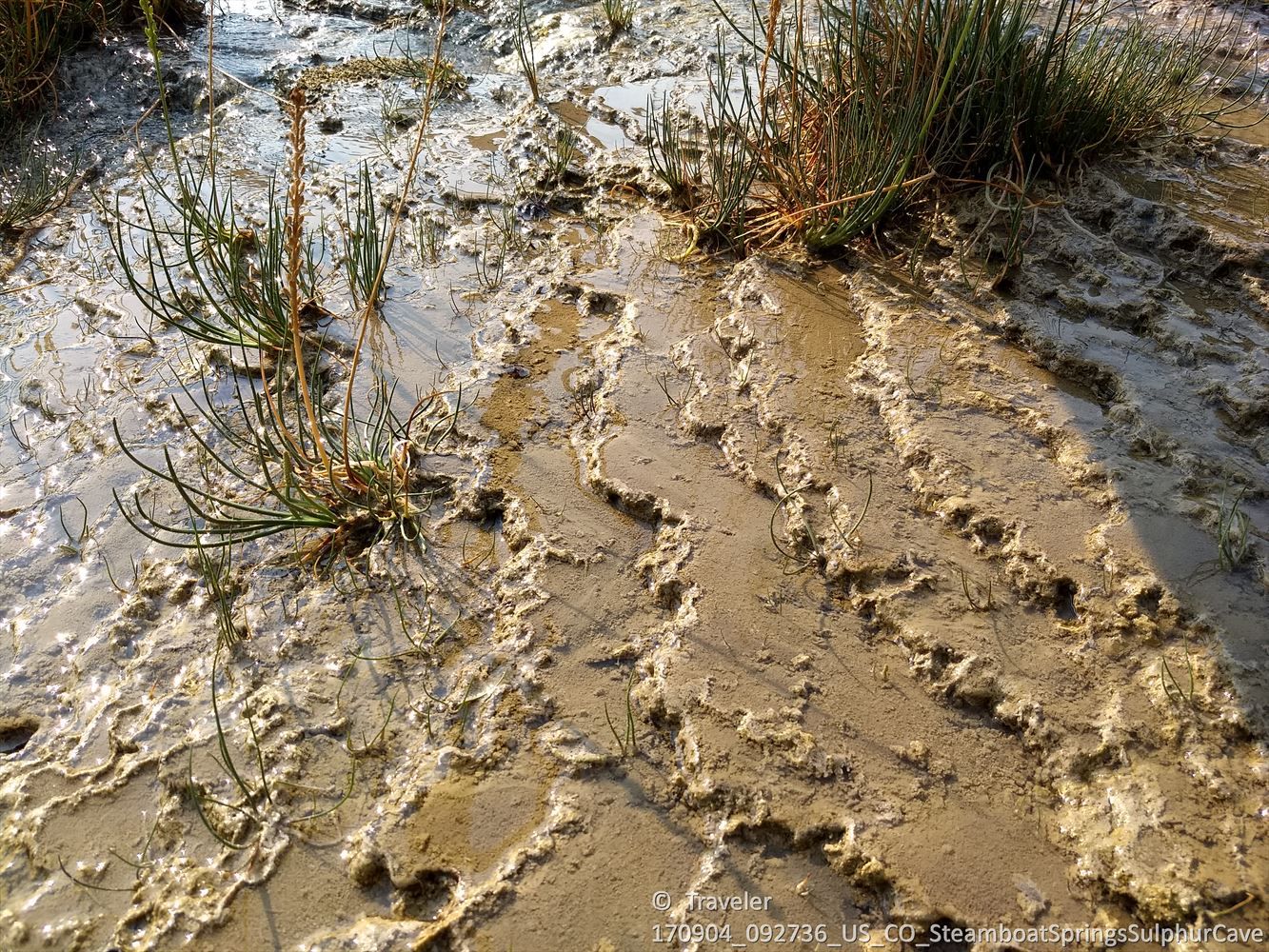 Close-up of muddy ground with tire tracks and small green plants. - Emerald Mountain Flow Loop
