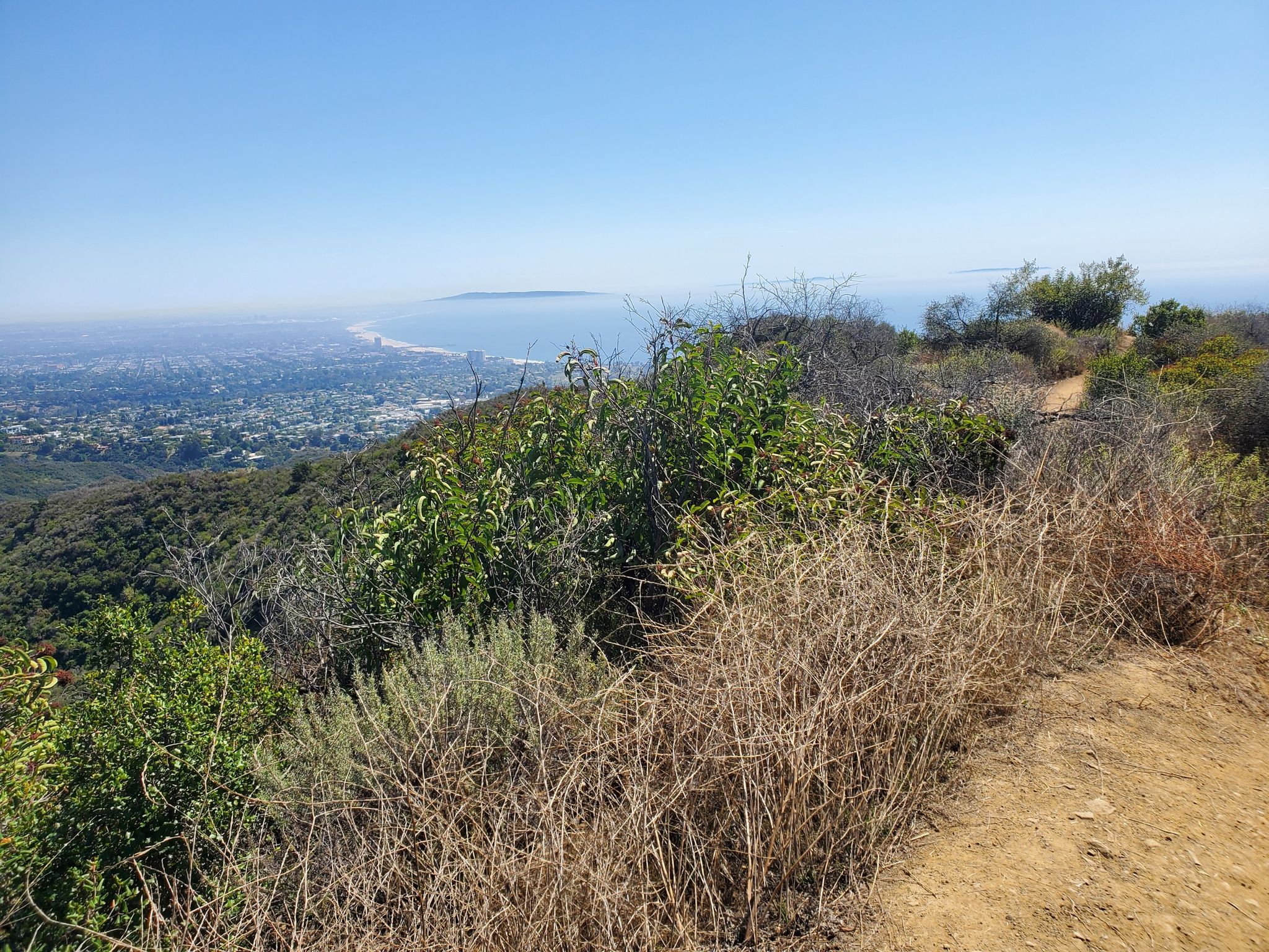 A dirt trail alongside dry brush, with a distant city and ocean under clear skies. - Hiking loop from Will Rogers State Beach