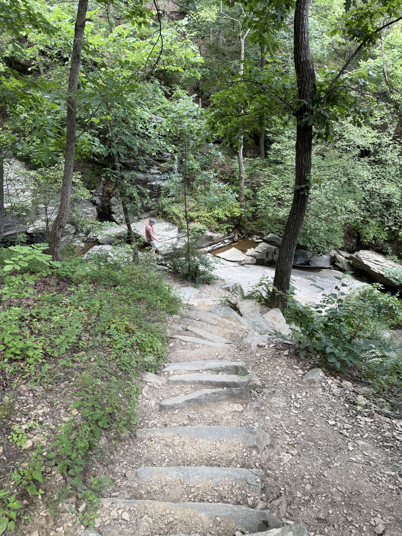 Person stands by a rocky stream in a dense, shaded green forest. - Loudoun Heights Trail