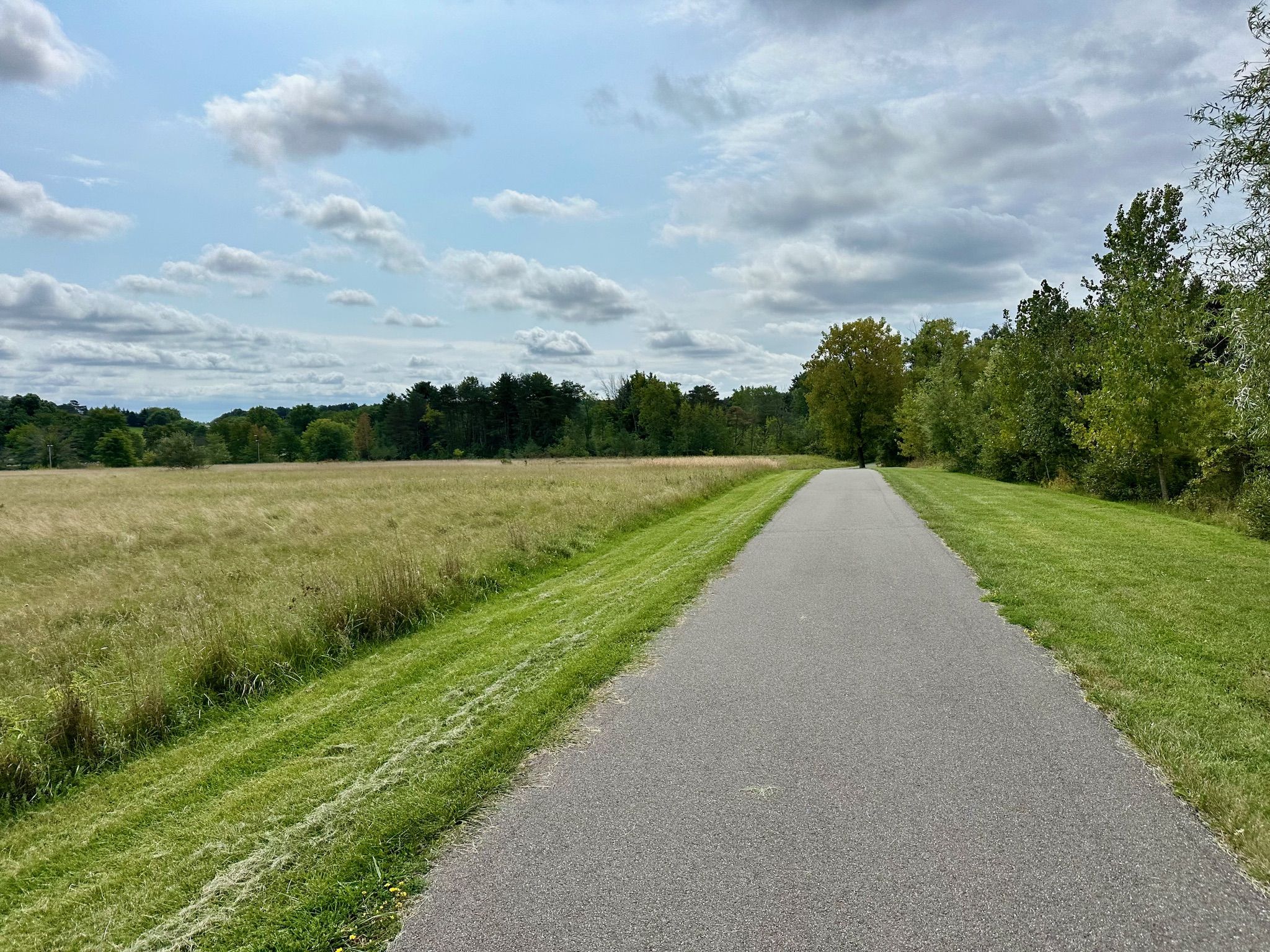 Paved path between a golden field and green trees under a cloudy sky. - Mohawk Hudson Bike-Hike Trail – Mohawk-Hudson Hike-Bike Trail loop from Town of Niskayuna