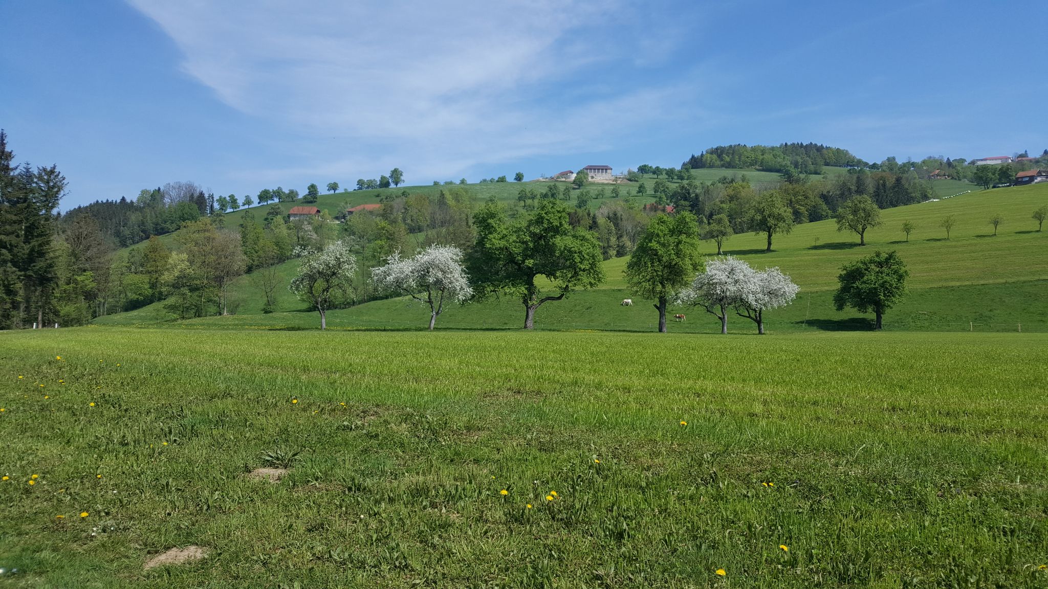 Urltal