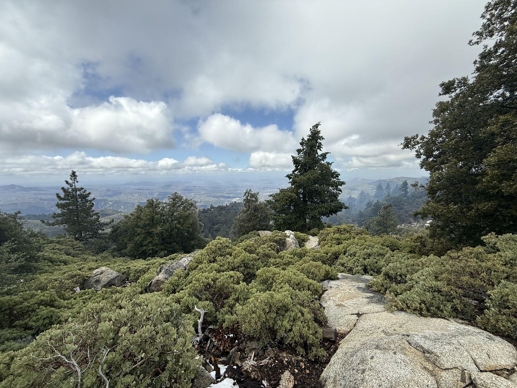 Overcast mountain view with green trees, rocks, and distant hills. - The Hub: Toptimator, Black Bear & Smokestack Loop
