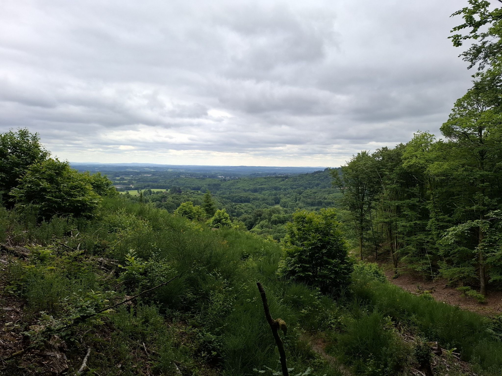 vue sur coudier et étang de Jonaz sur la gauche