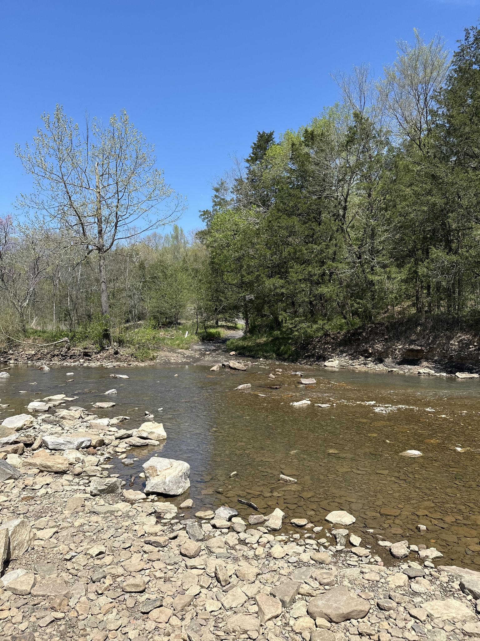 Wide, clear river with rocky banks surrounded by green trees under blue sky. - Fossil Flats Loop