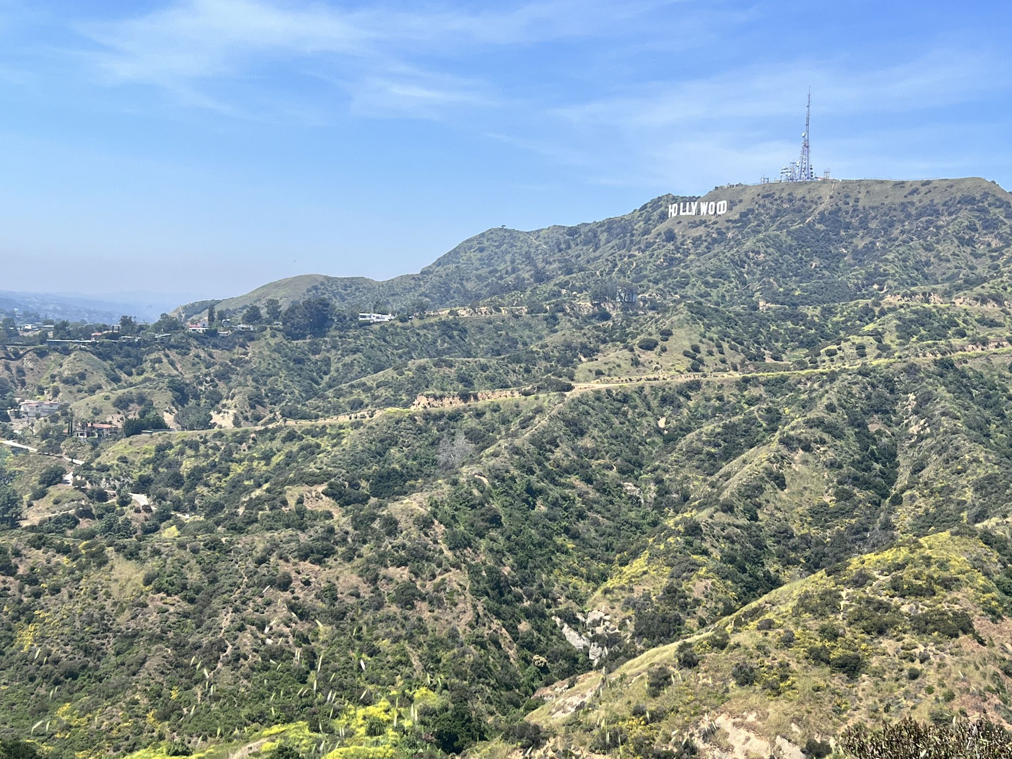 Expansive view of green, brush-covered hills with distant white letters. - Brush Canyon Trail – Hollywood Sign View loop from American Film Institute