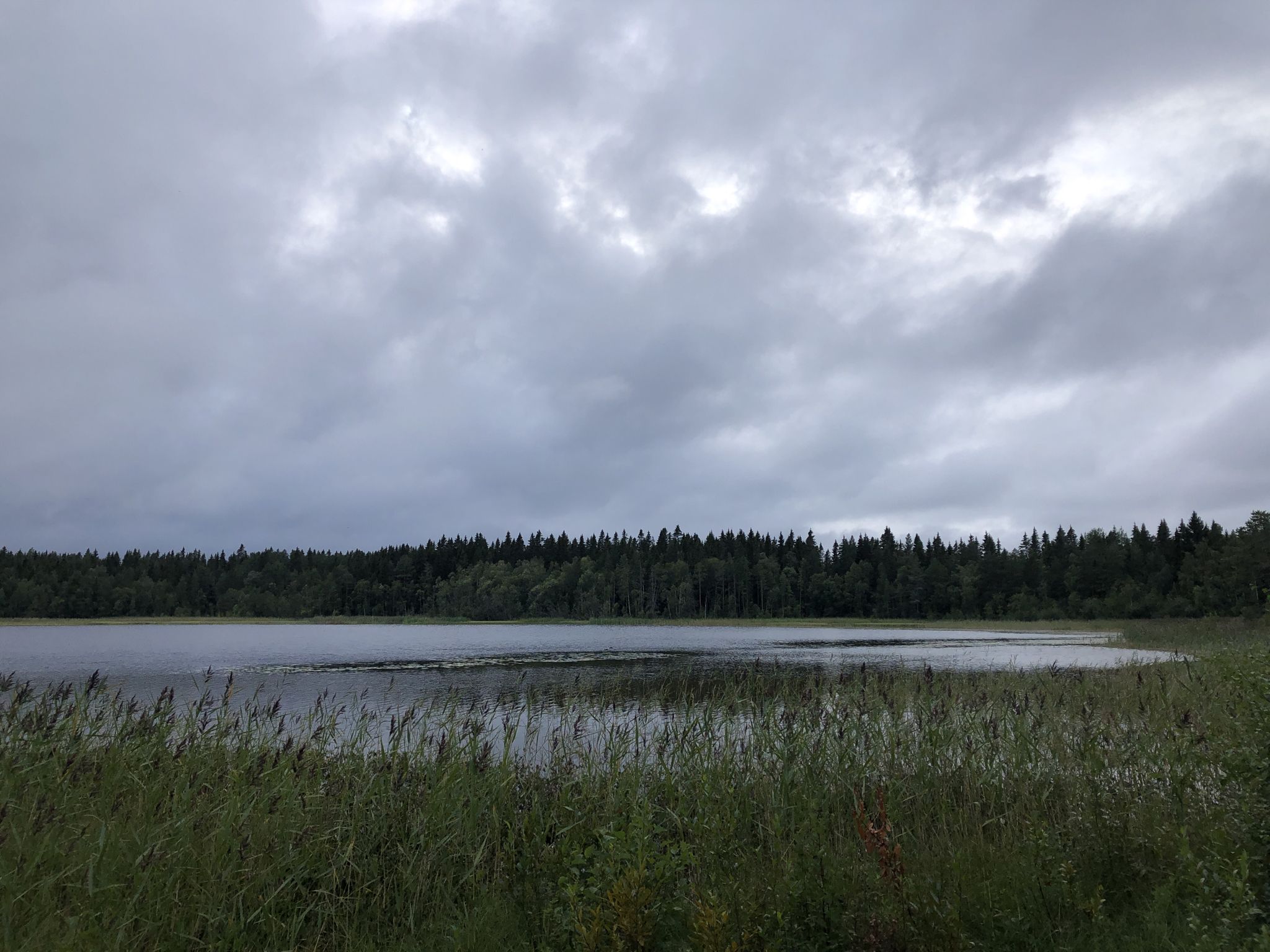 Lillsjön, bitte sehr!