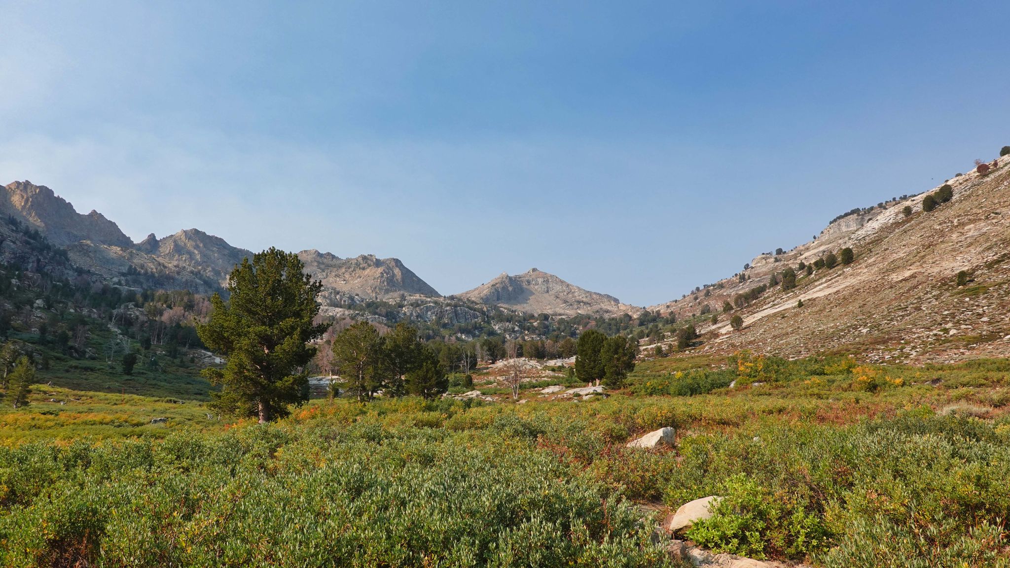 Lush valley with shrubs and trees, surrounded by rugged mountains under clear sky. - Castle Lake Loop