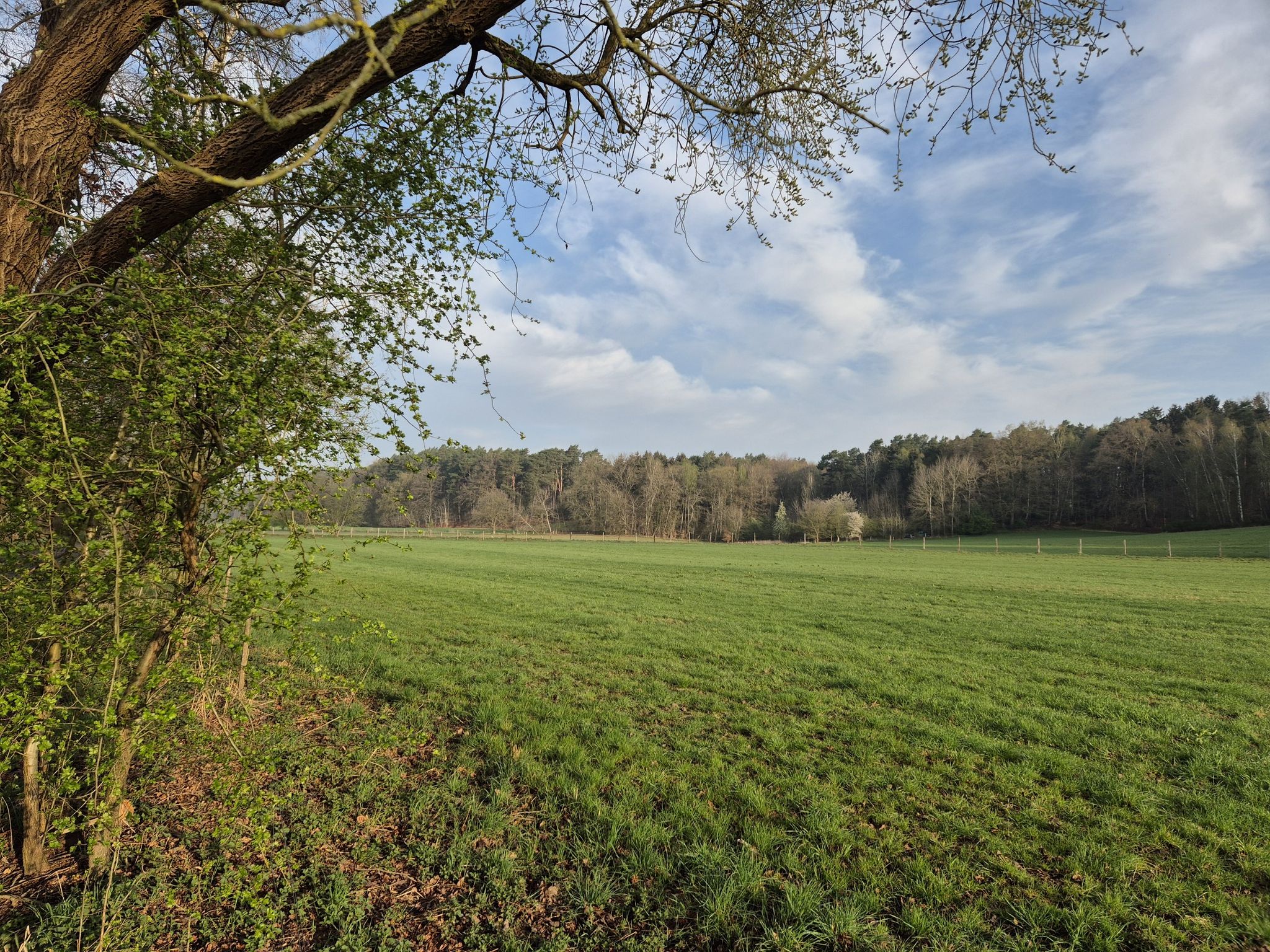 in der Landschaft-