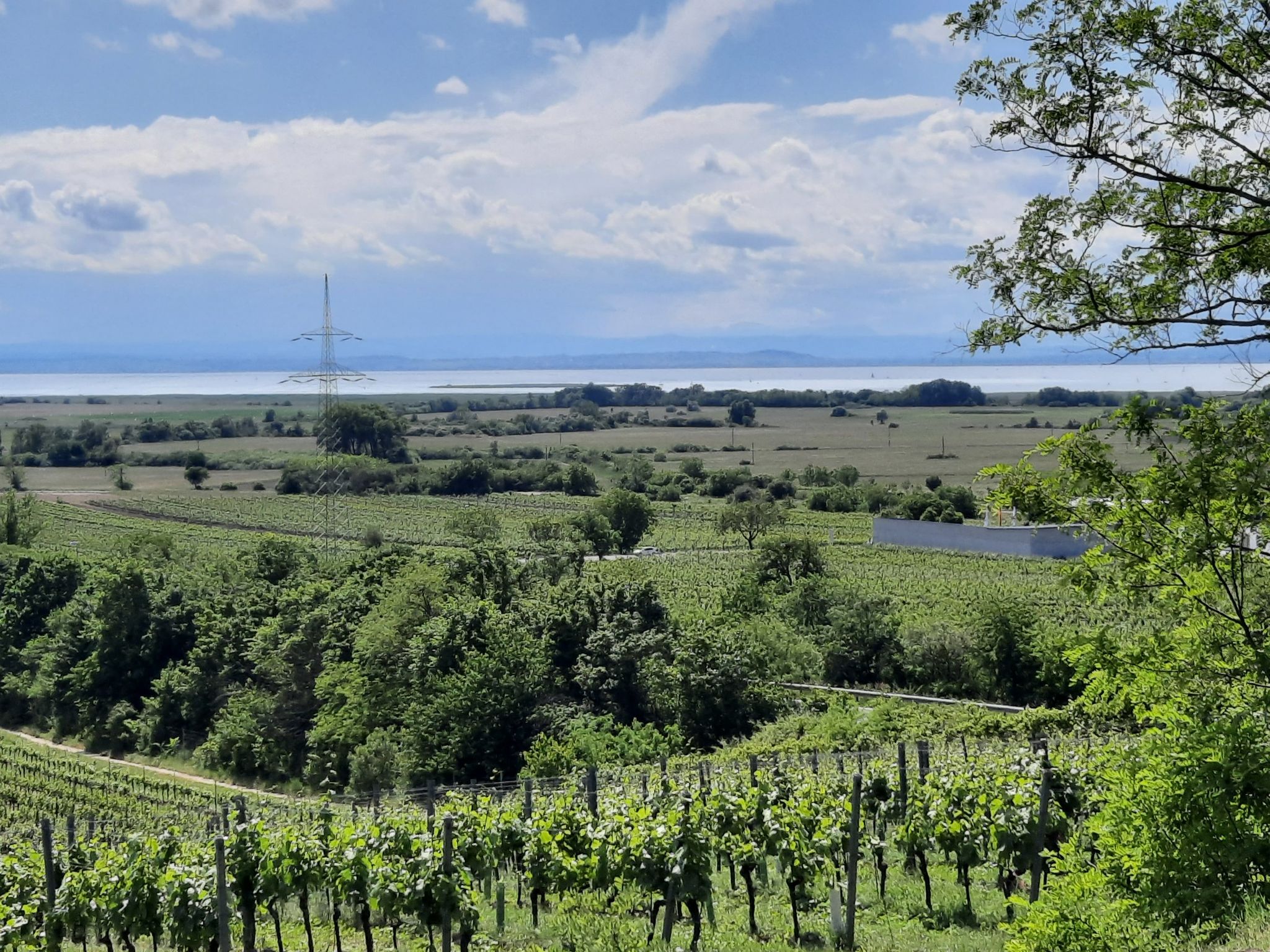 Blick auf den Neusiedlersee