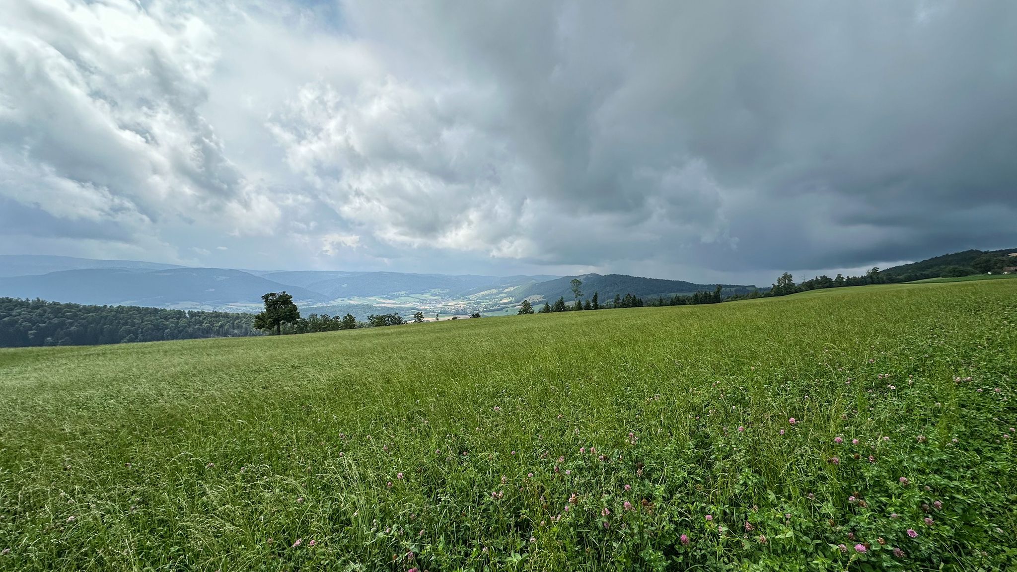 ...eine schöne Hügellandschaft...
