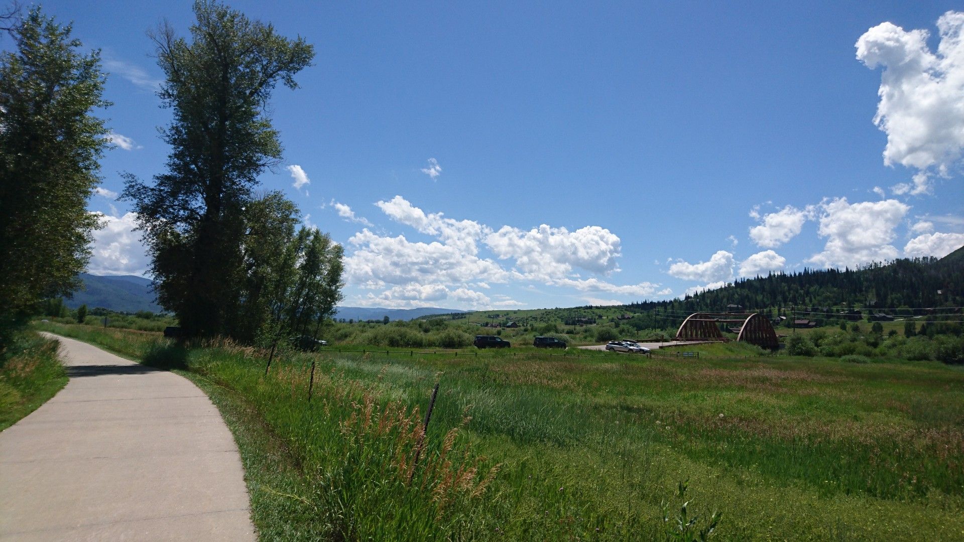 A paved path curves through a sunny green field under a blue sky. - Casey's Pond – Yampa River Botanic Park loop from Meadows Parking Lot