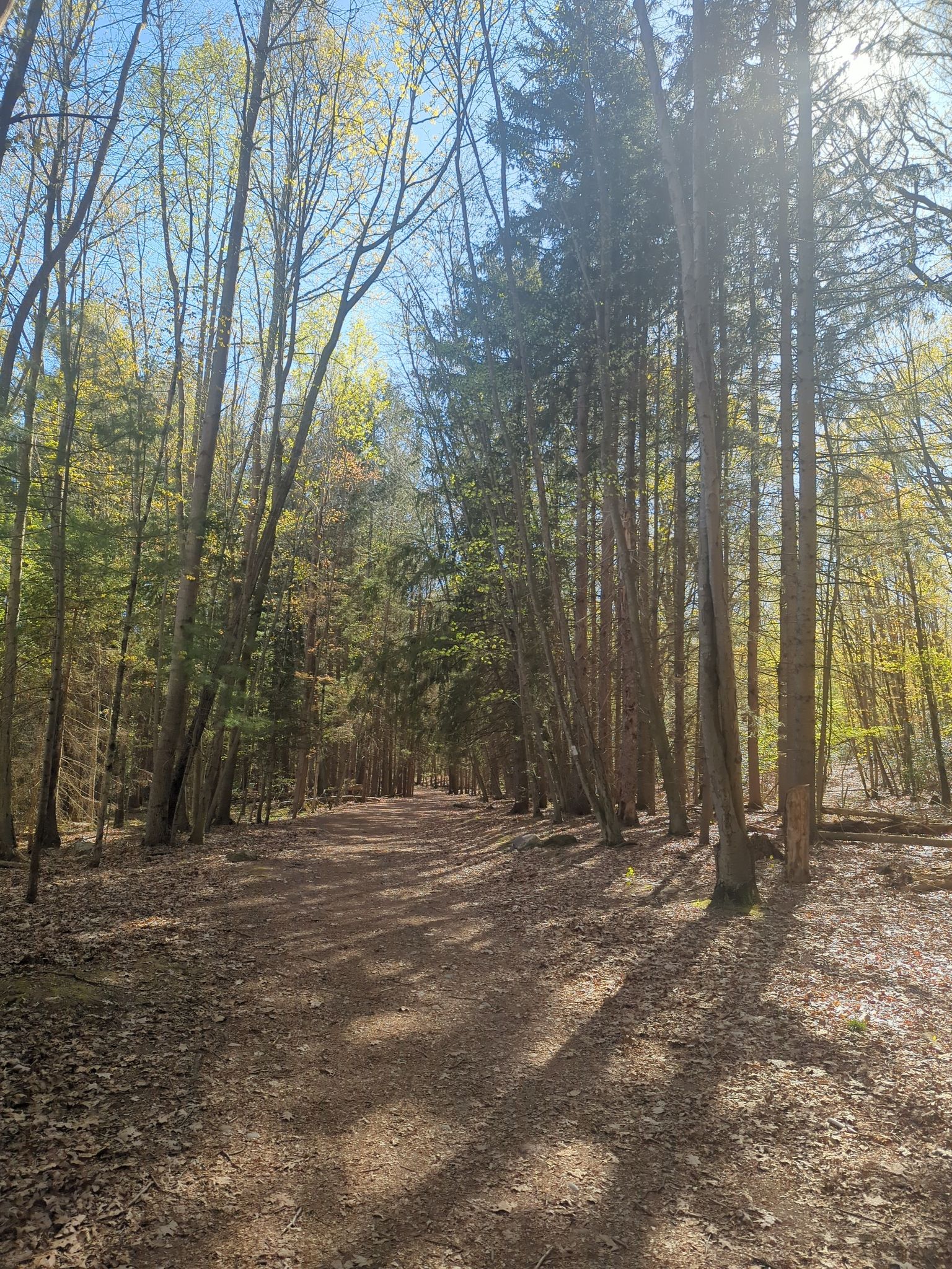 trail