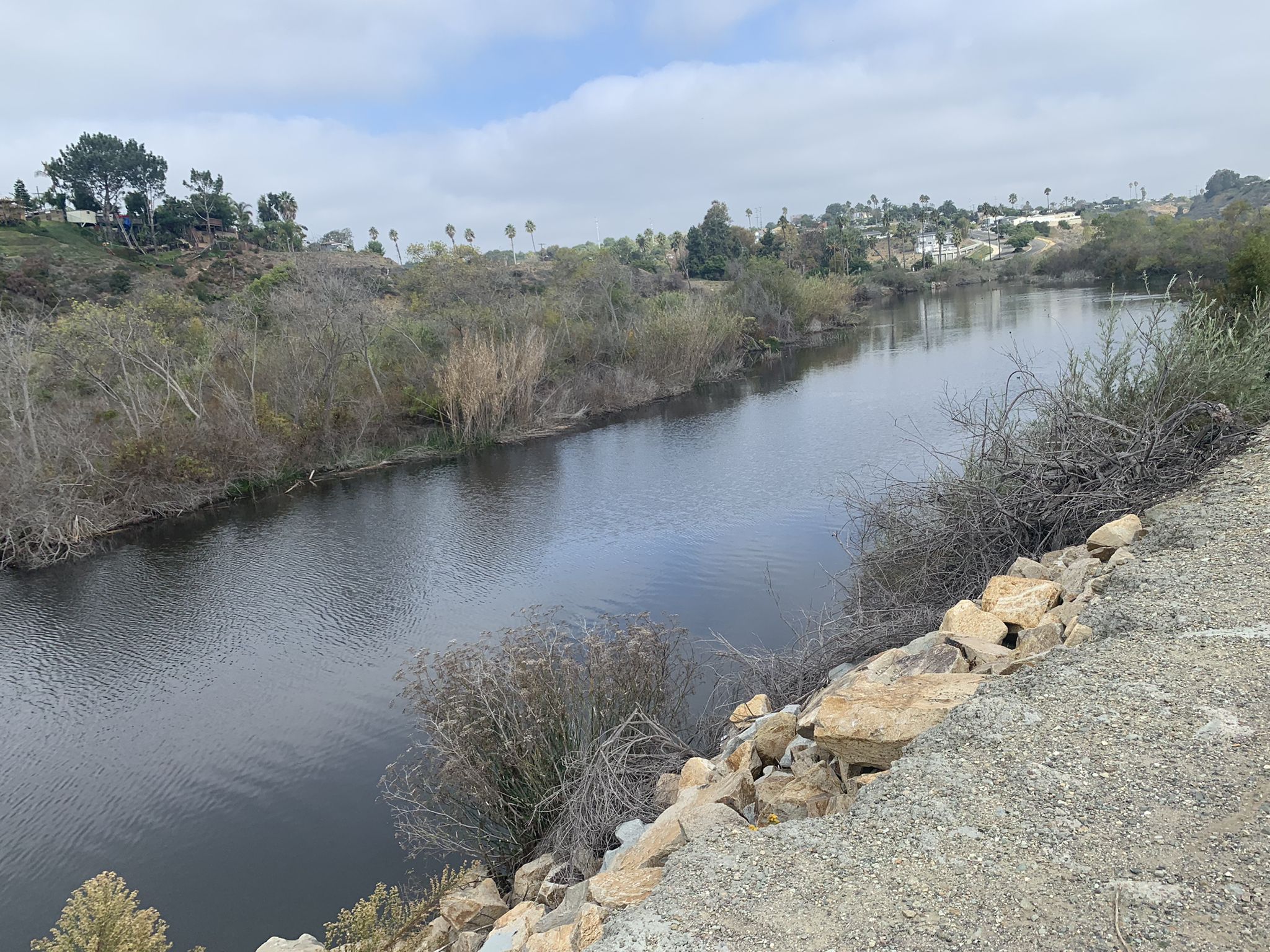 Wide, dark river flowing between brush-covered banks under an overcast sky. - San Luis Rey River Trail