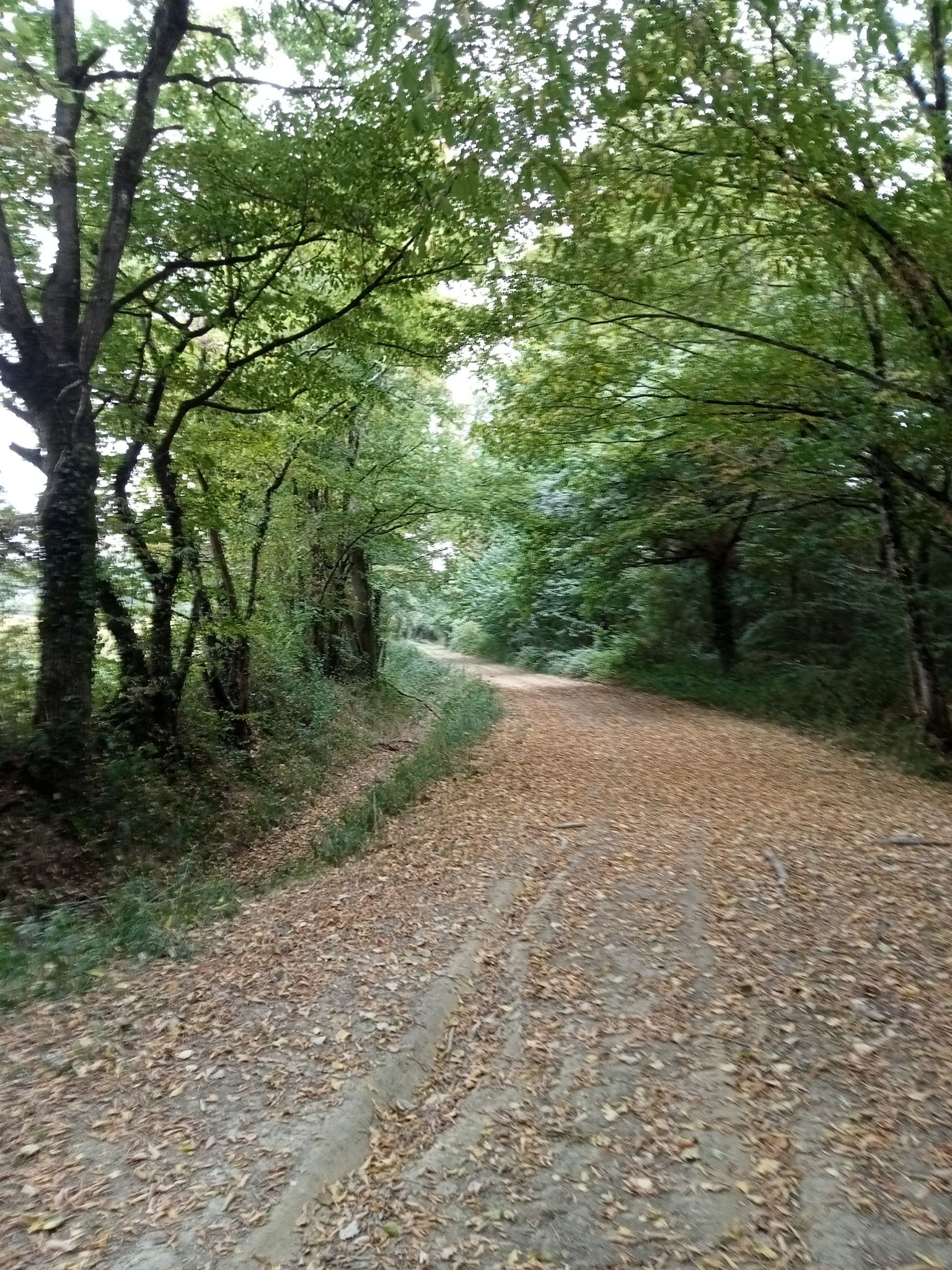 chemin de la Goupillière