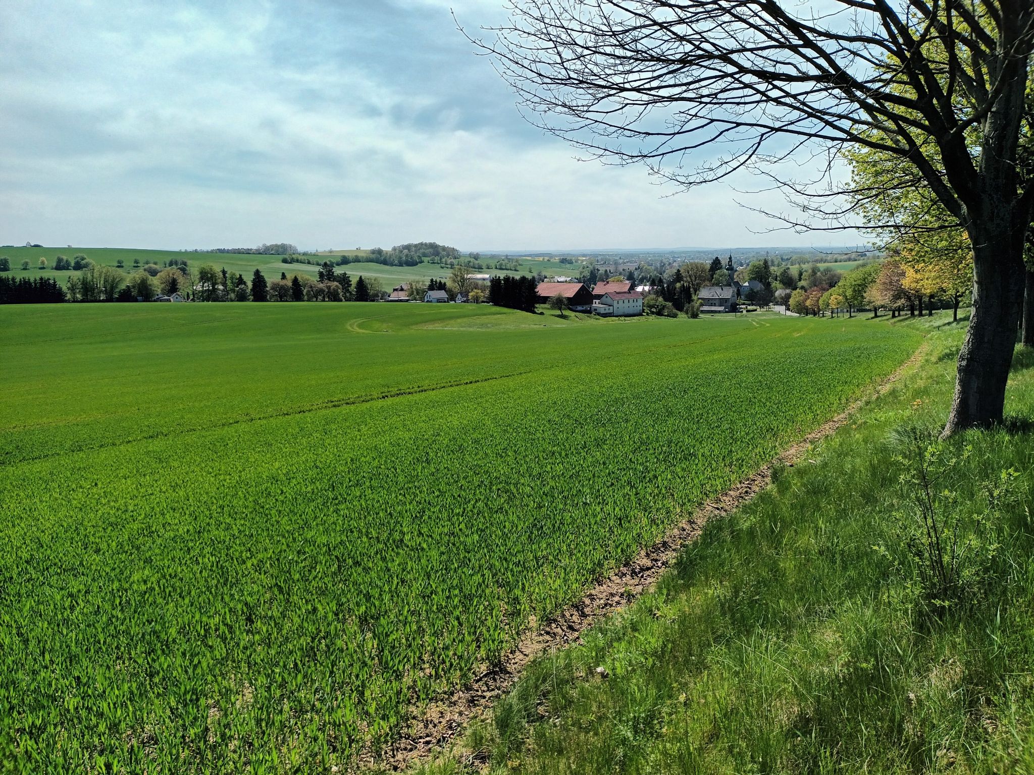 Blick vom Luisenberg über das Rödertal bis Dresden