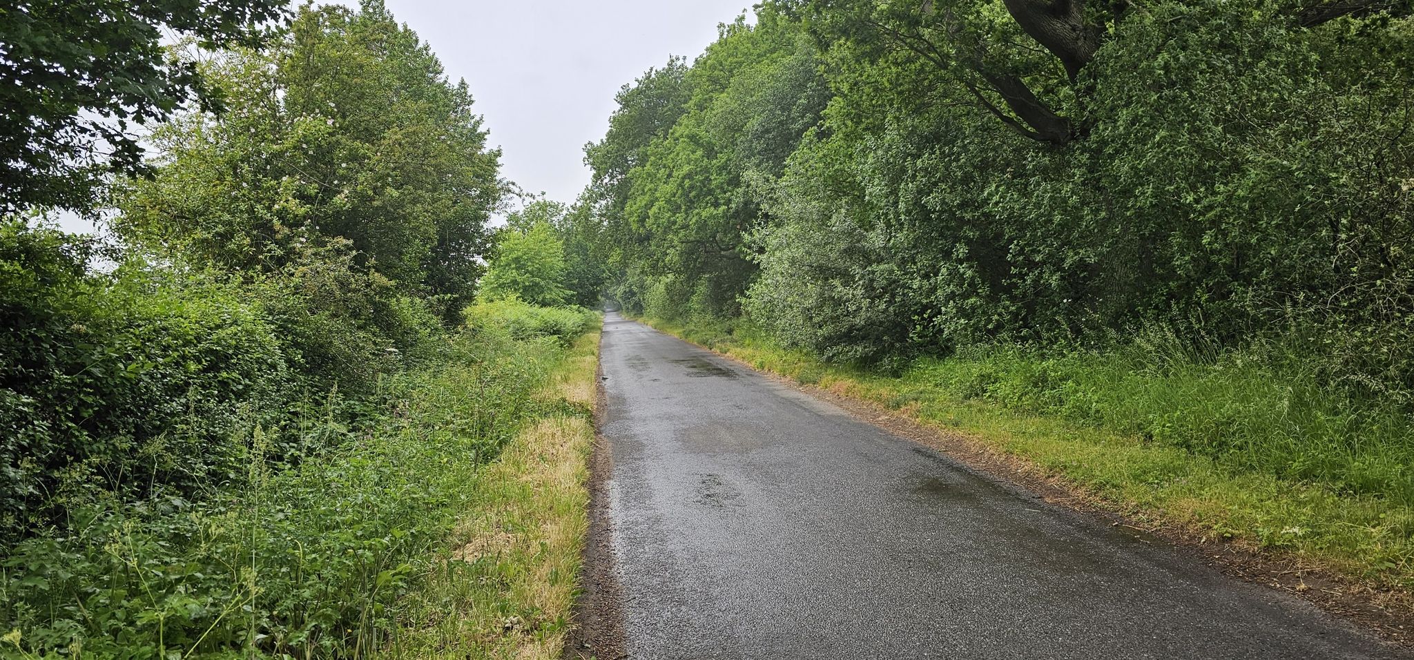 Einsame Landstraßen