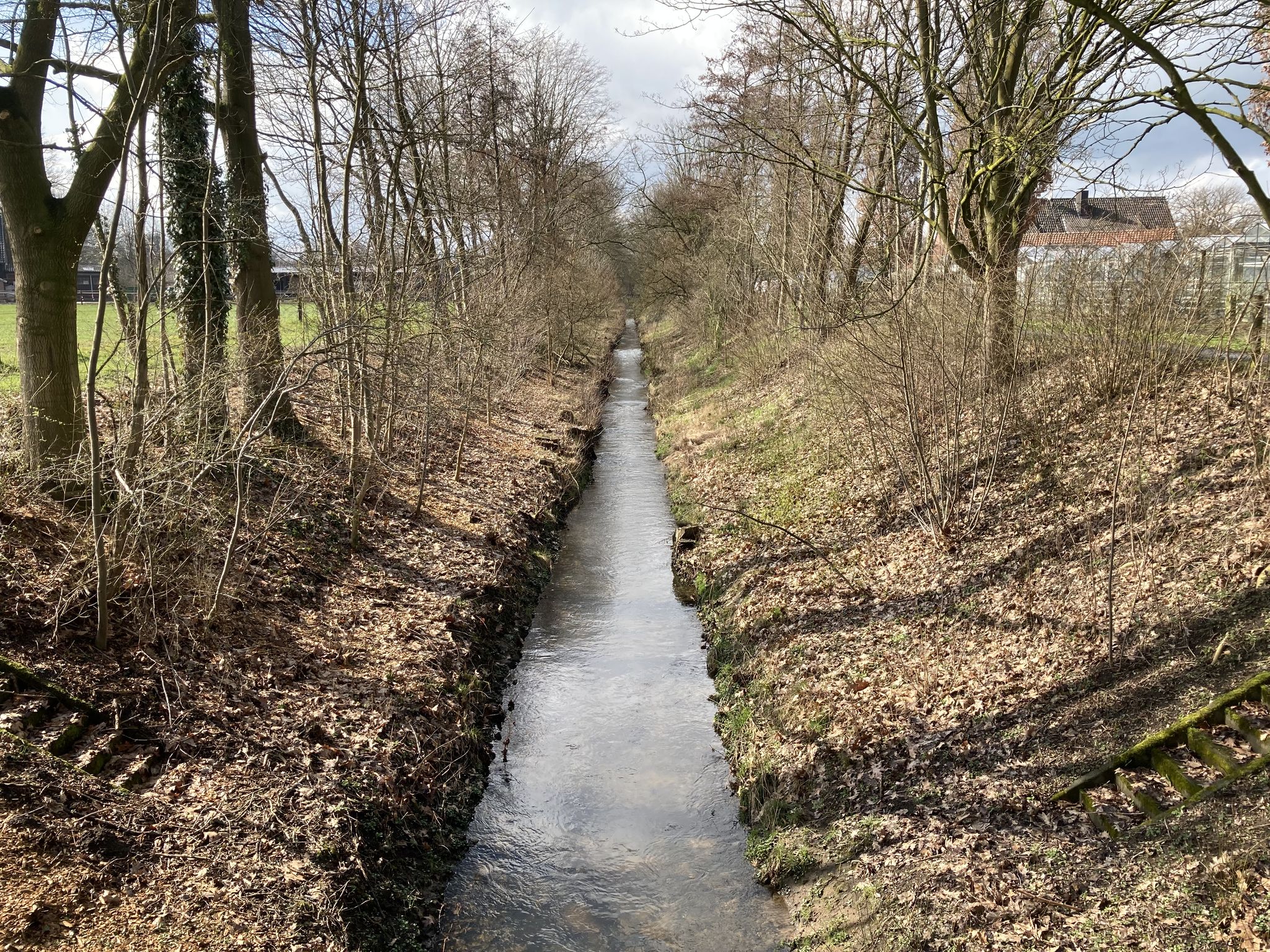 noch mehr Bach
