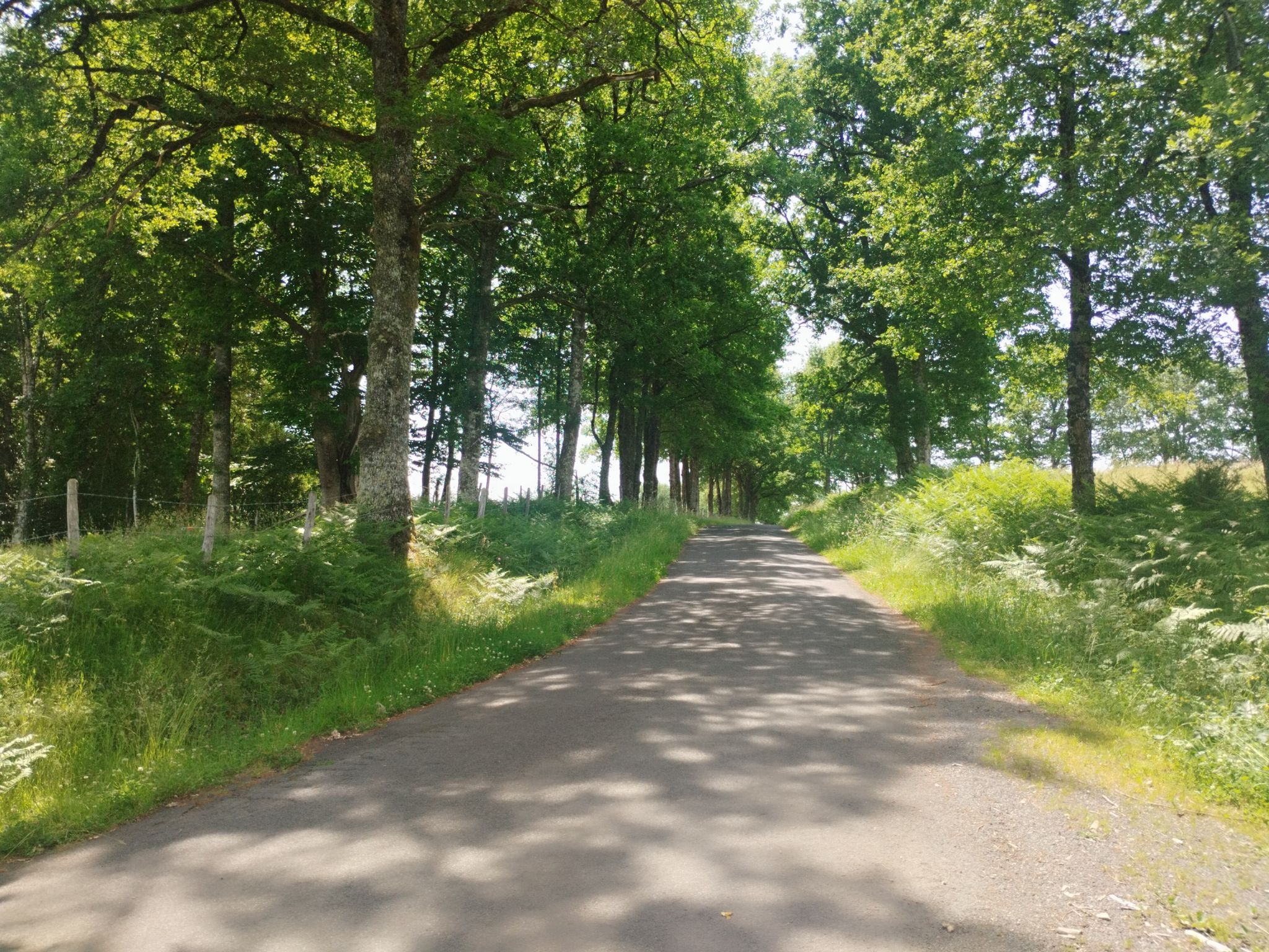 D352, kleine Straße, hügelige Landschaft