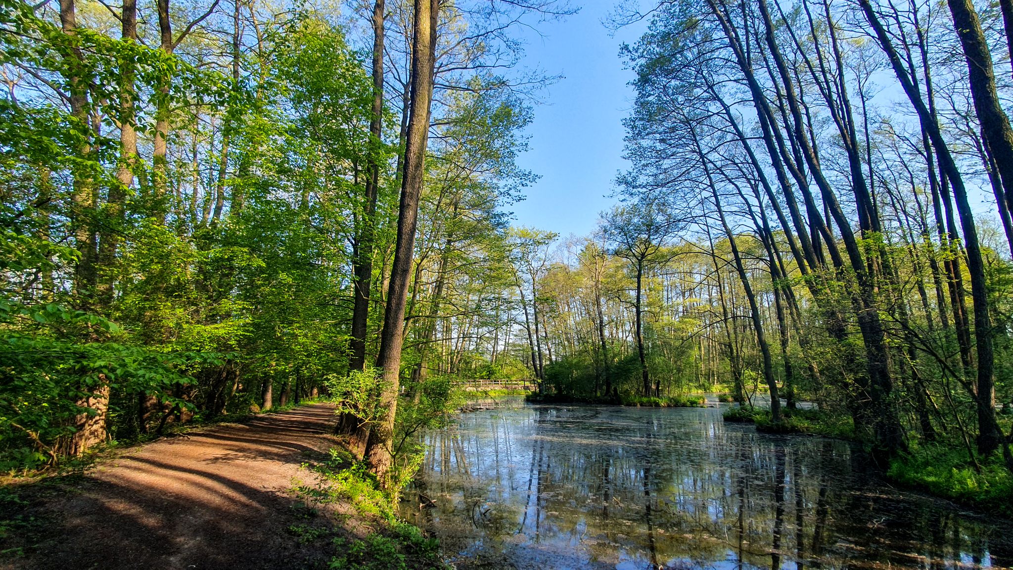 Rezerwat Niebieskie Źródła
