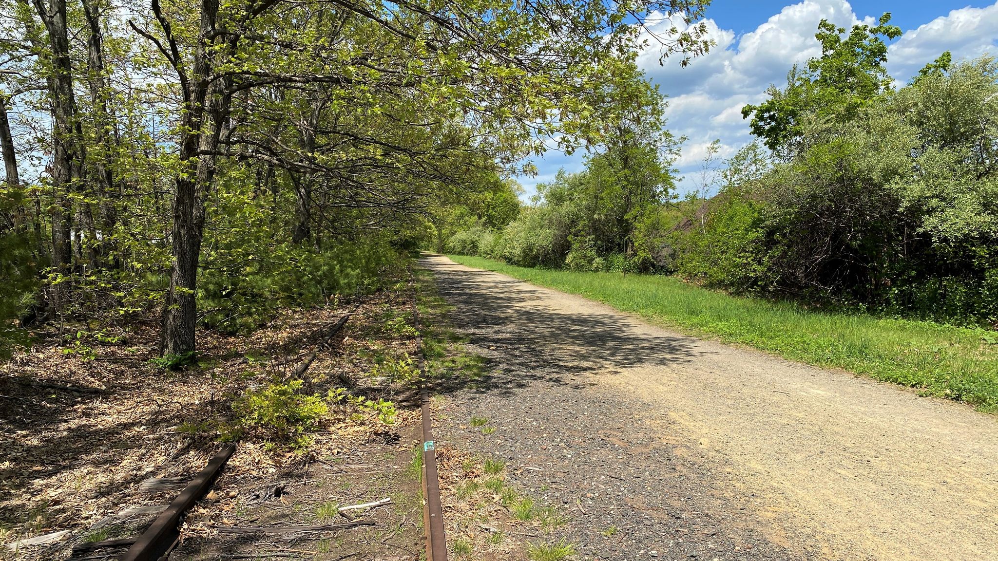 A sunny dirt path winds through green trees and grass. - Charter Oak Greenway and Hop River Trail Loop