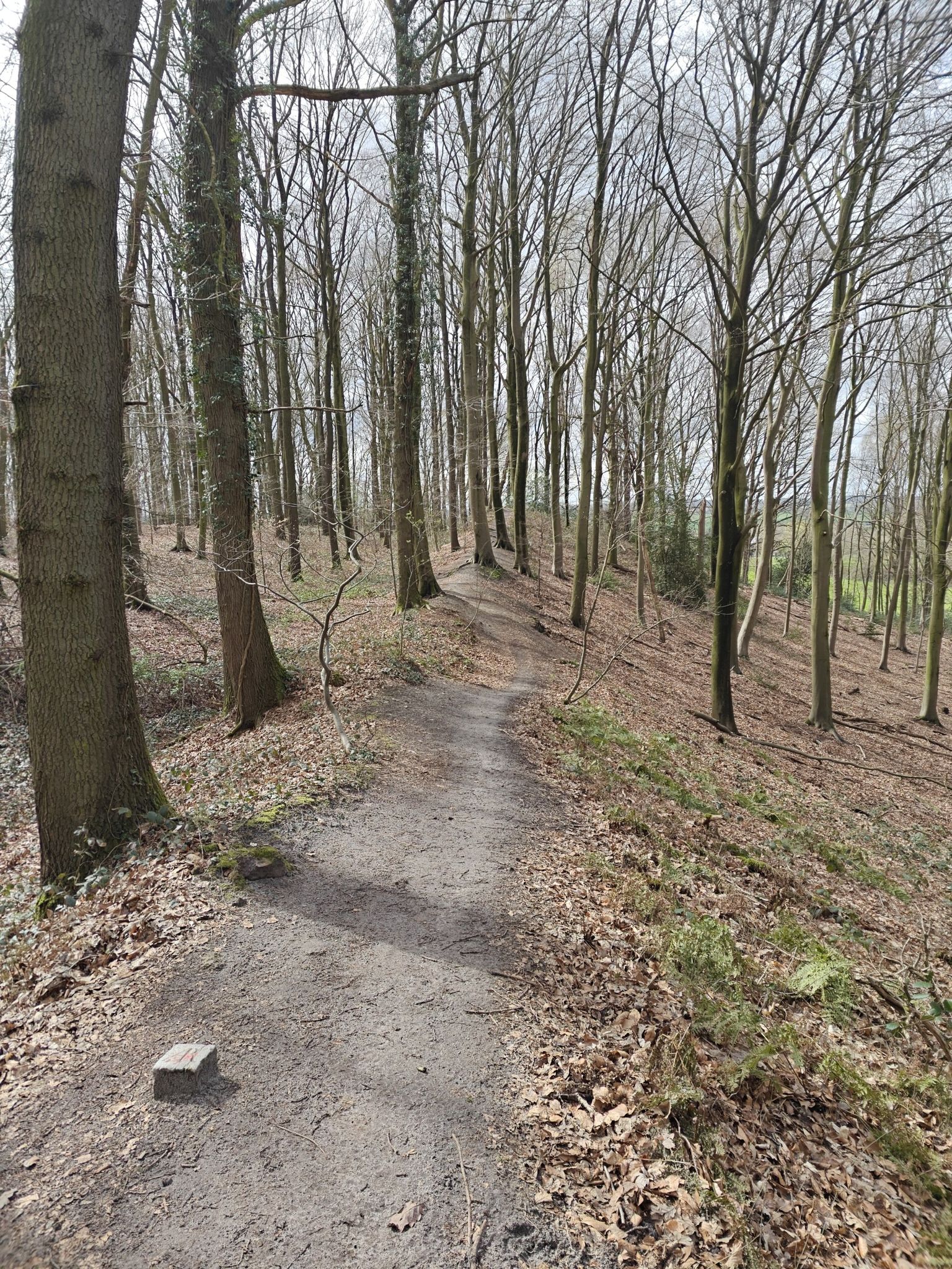 single track naar de bonhomme