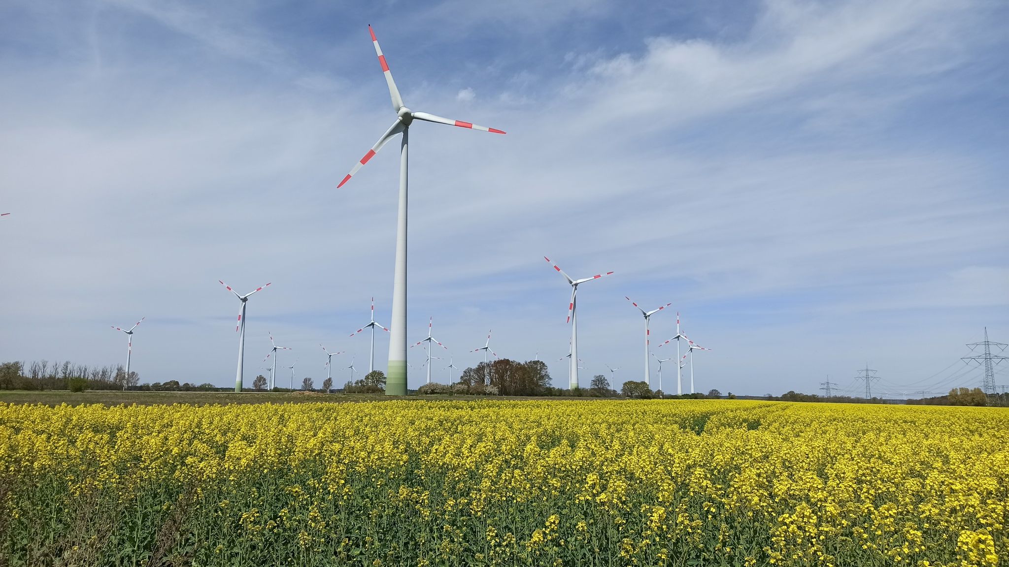 Im Windpark