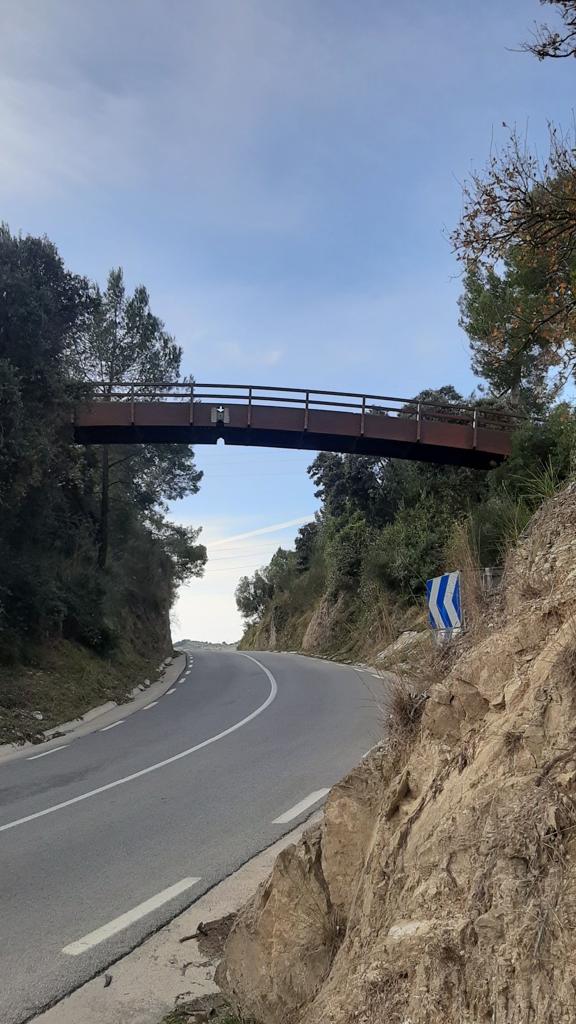 Bajo el puente de madera