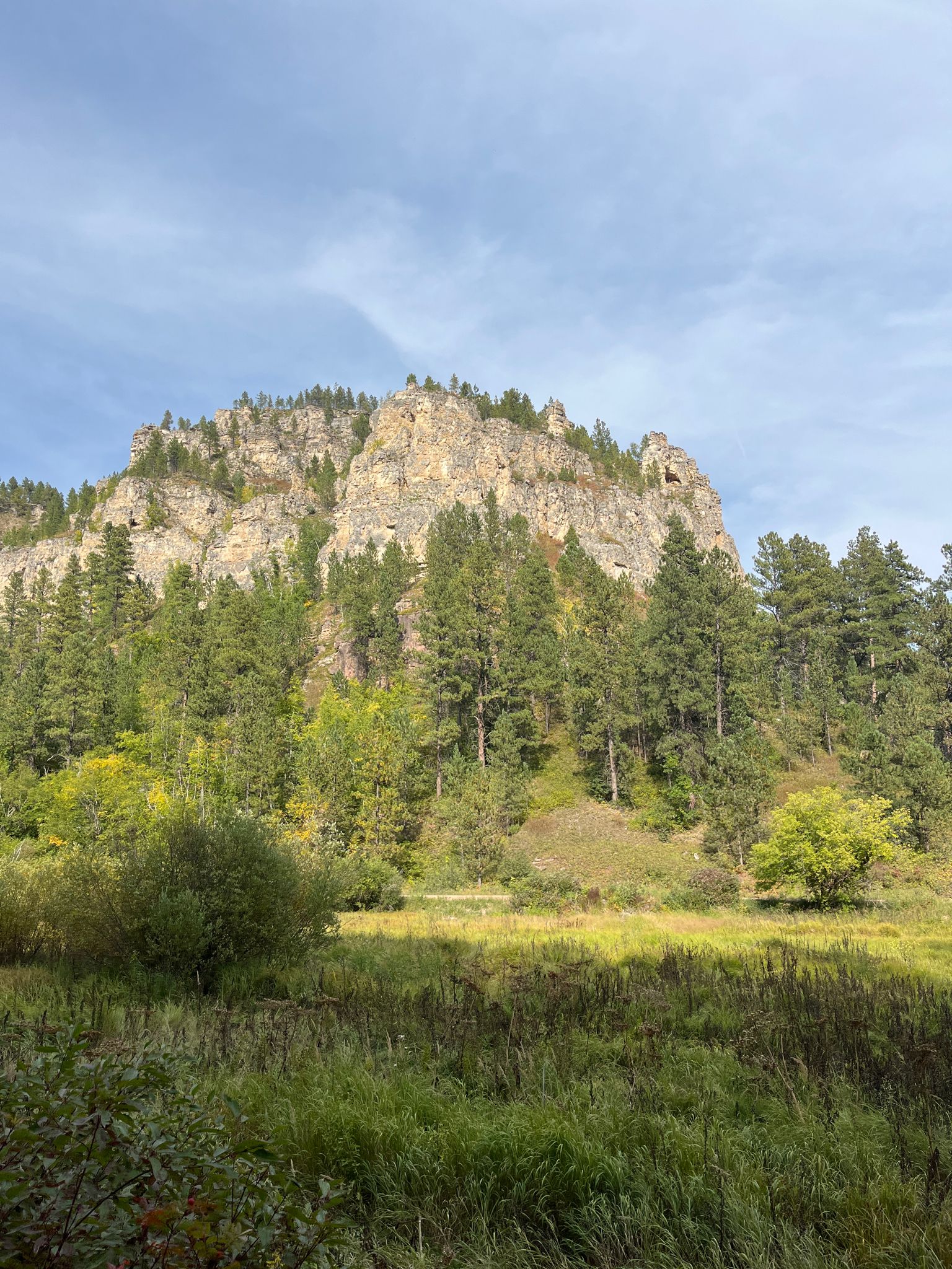 A large rocky mountain covered in pine trees overlooks a green meadow under a partly cloudy sky. - View of Roughlock Falls loop from Roughlock Falls