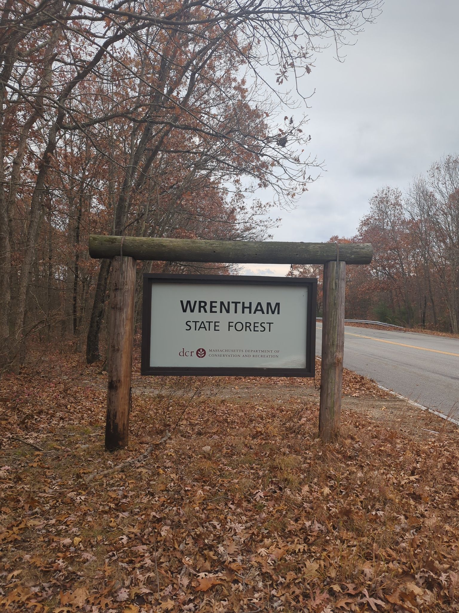 A large framed sign on wooden posts stands by a road in a bare forest. - Everett Skinner Road Land – Wrentham State Forest loop from Wrentham Village Premium Outlets